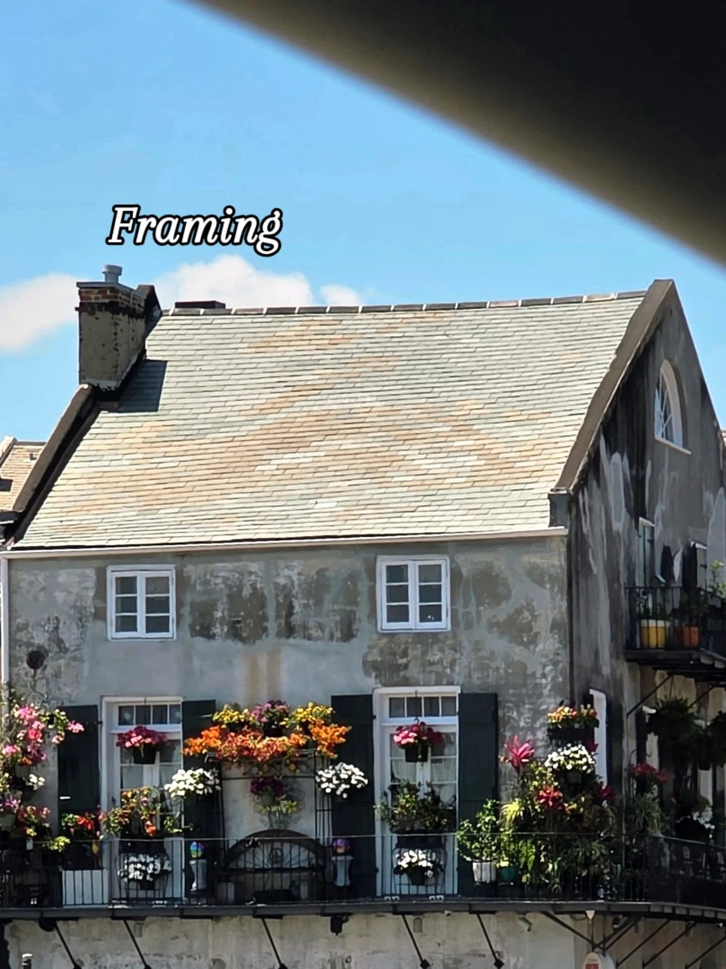 Everyone else was looking at street signs so we didn't get lost, restaurant names so we could eat, etc. 

I couldn't stop looking at the other stuff. 

Colorful flowers giving life to an aging home.  Tops of buildings using the sky as a backdrop. Fir