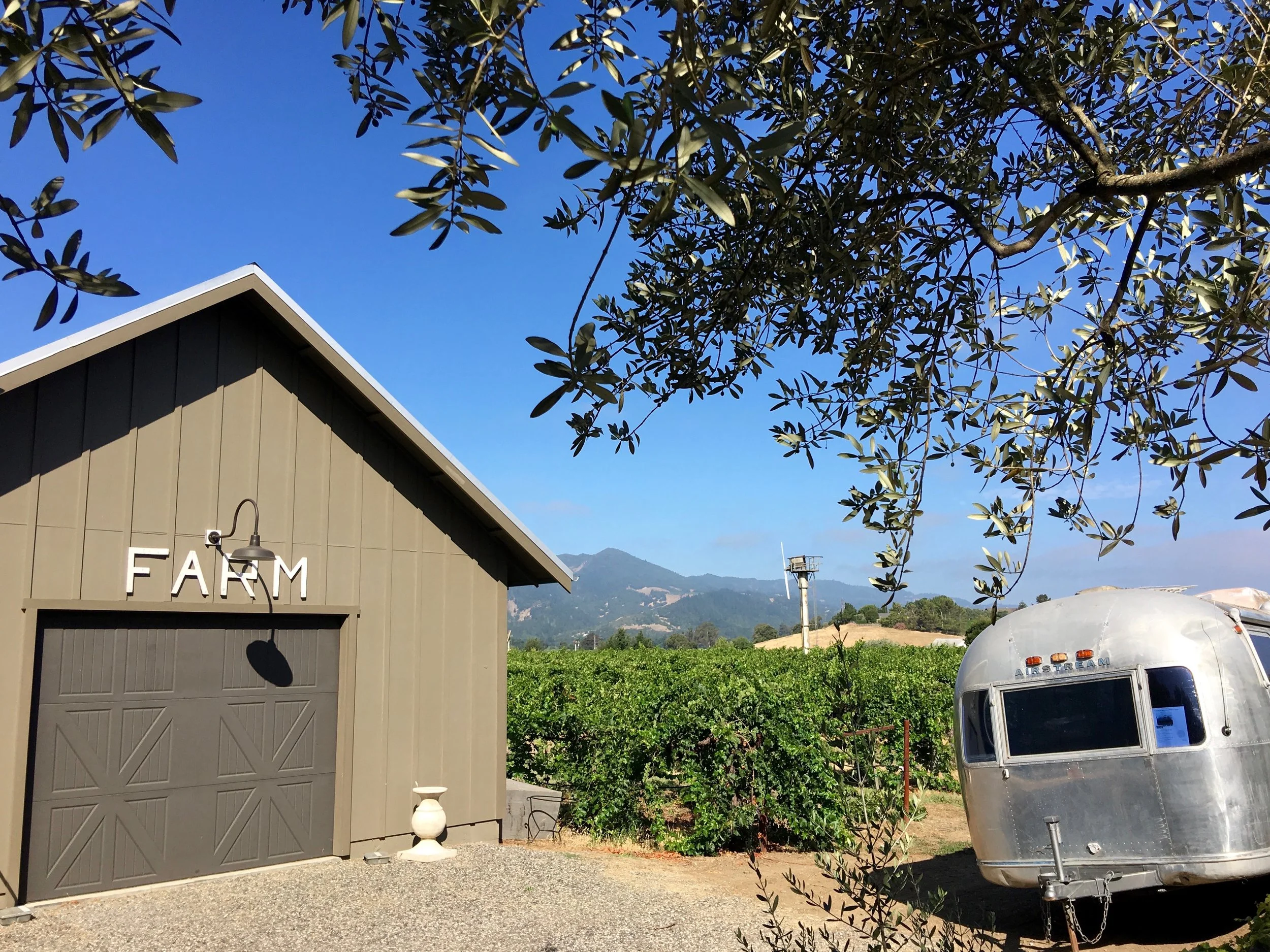 Beautiful Oakville vista with one of their two recently acquired Airstreams soon to be renovated for tasting experiences ( Photo: Mike Casey, The 29 Napa )