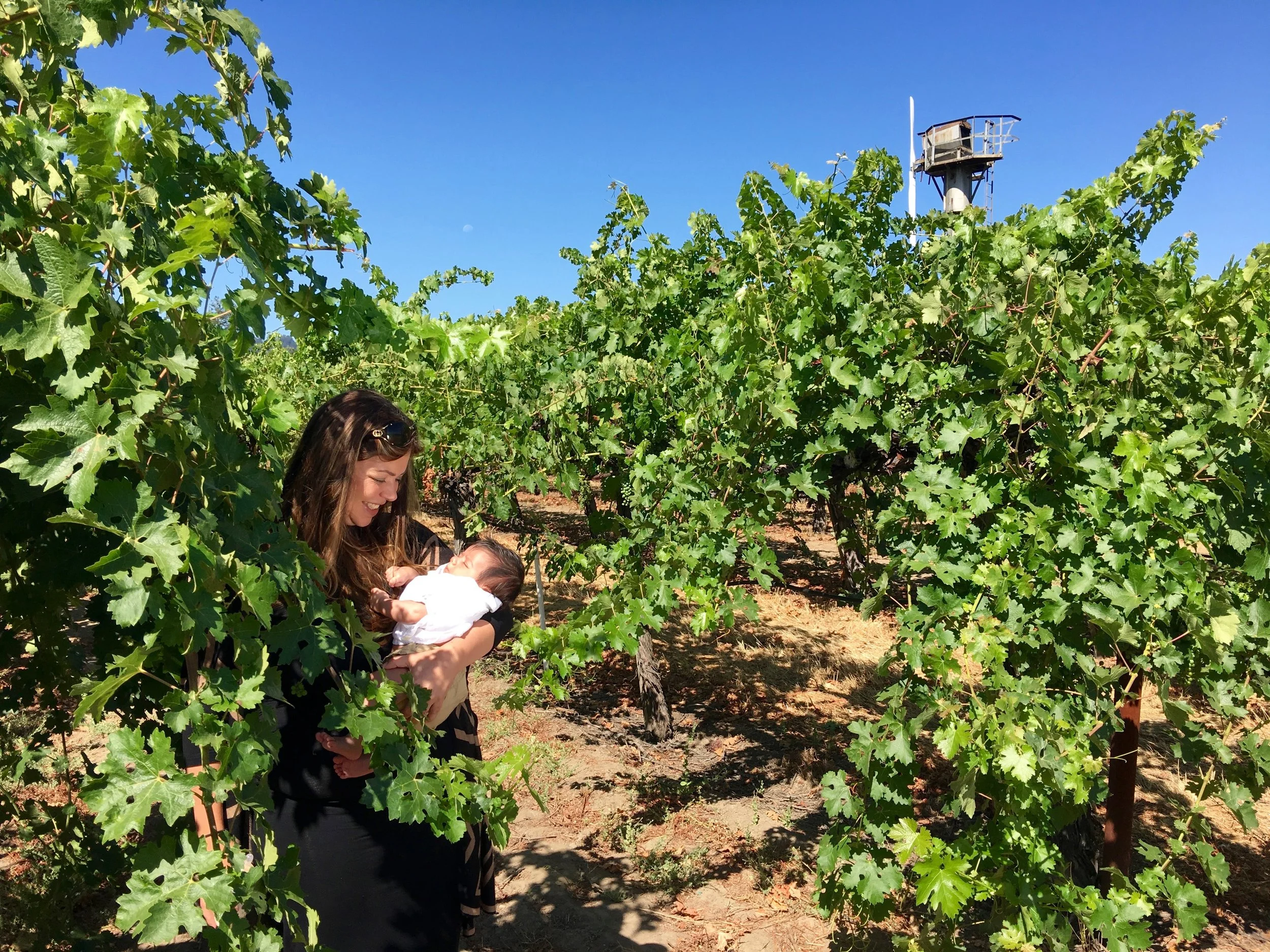 Third generation "baby Ro" Hoopesgetting an early start at vineyard management ( Photo: Mike Casey, The 29 Napa )