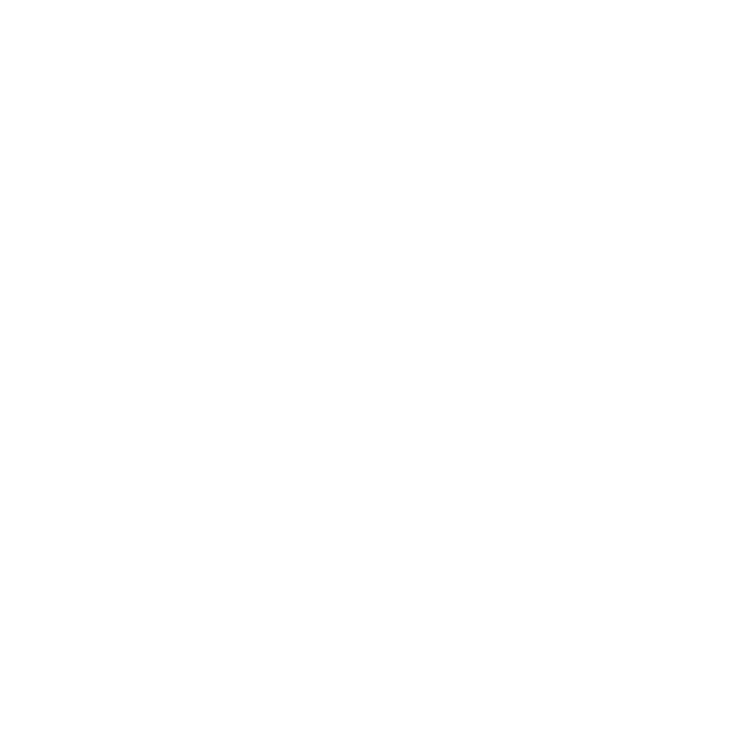 VISUAL EX COMPANY