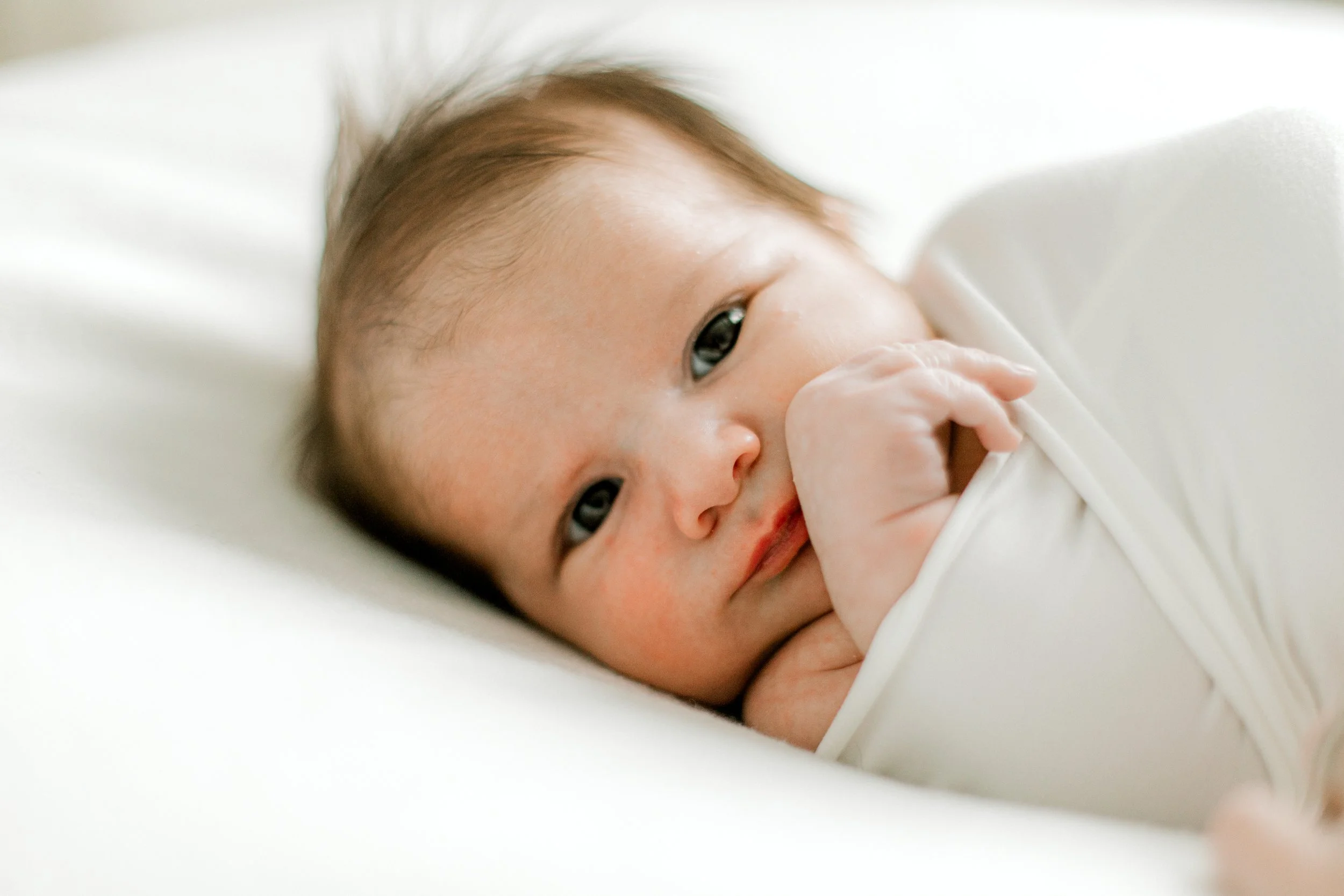 Baby_Sal-8.jpg