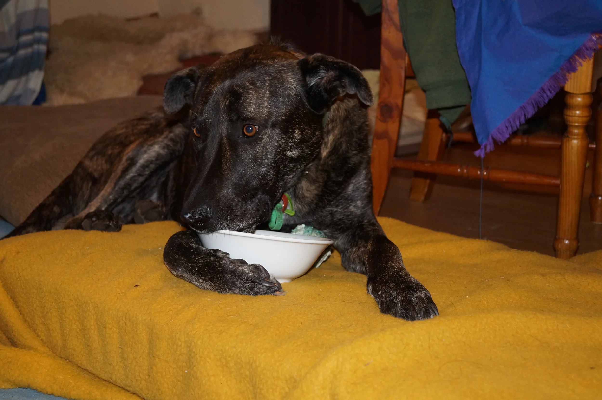 Leo having breakfast in bed at Andrew and Belinda's holiday haven