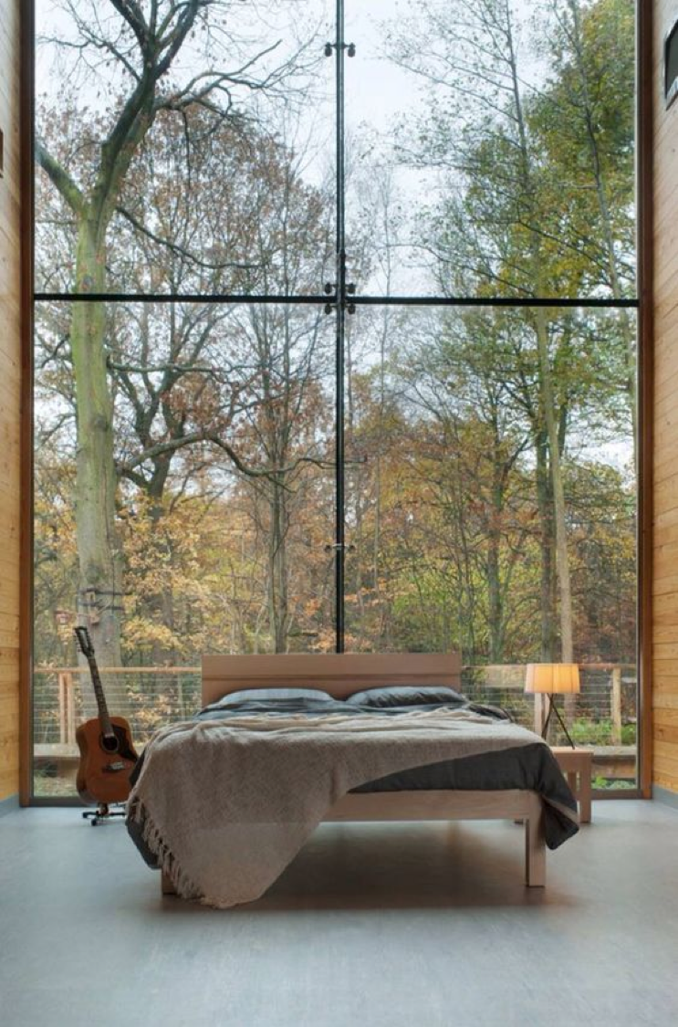 Interior 1.png