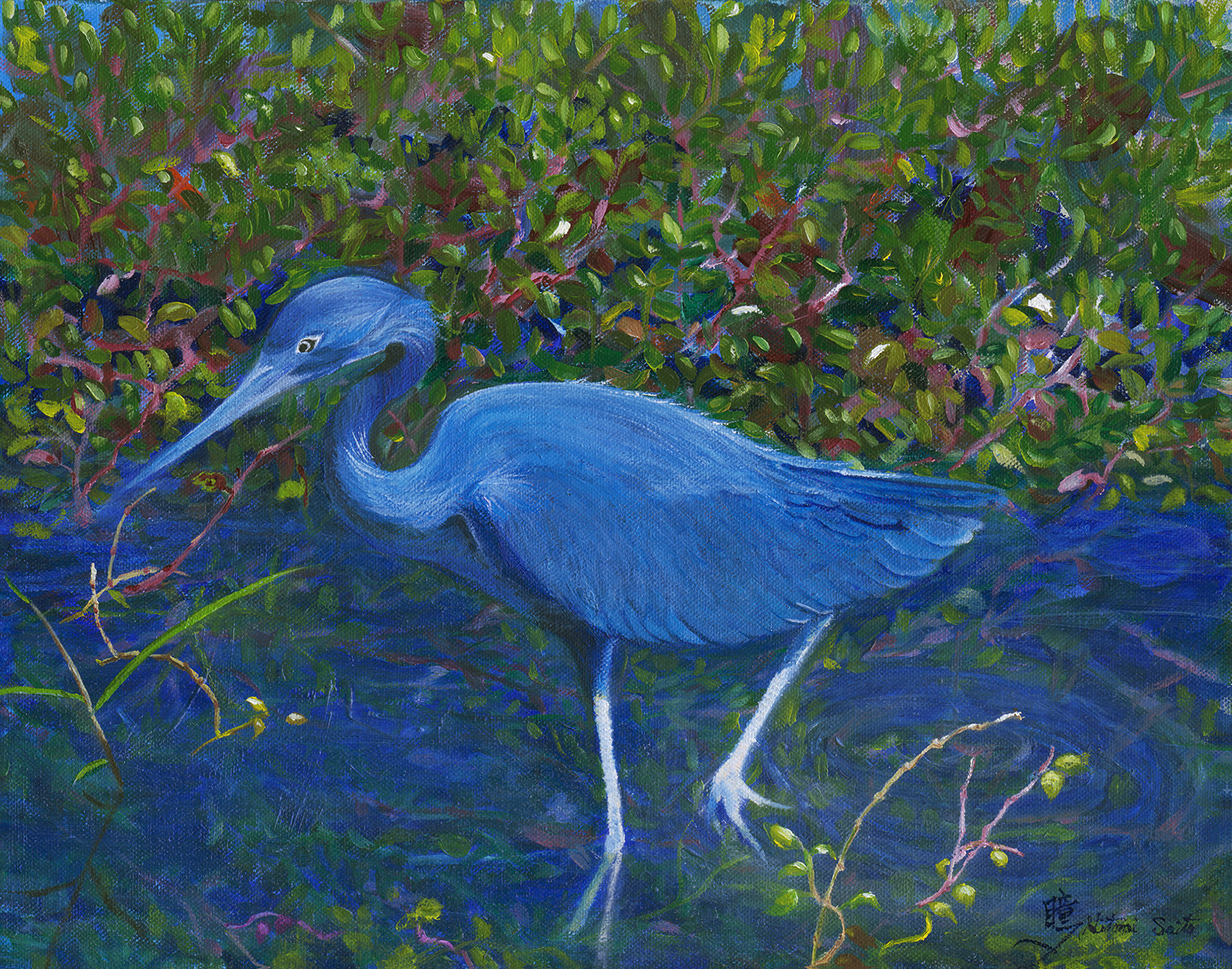 HIT 2055693_Blue Heron.jpg