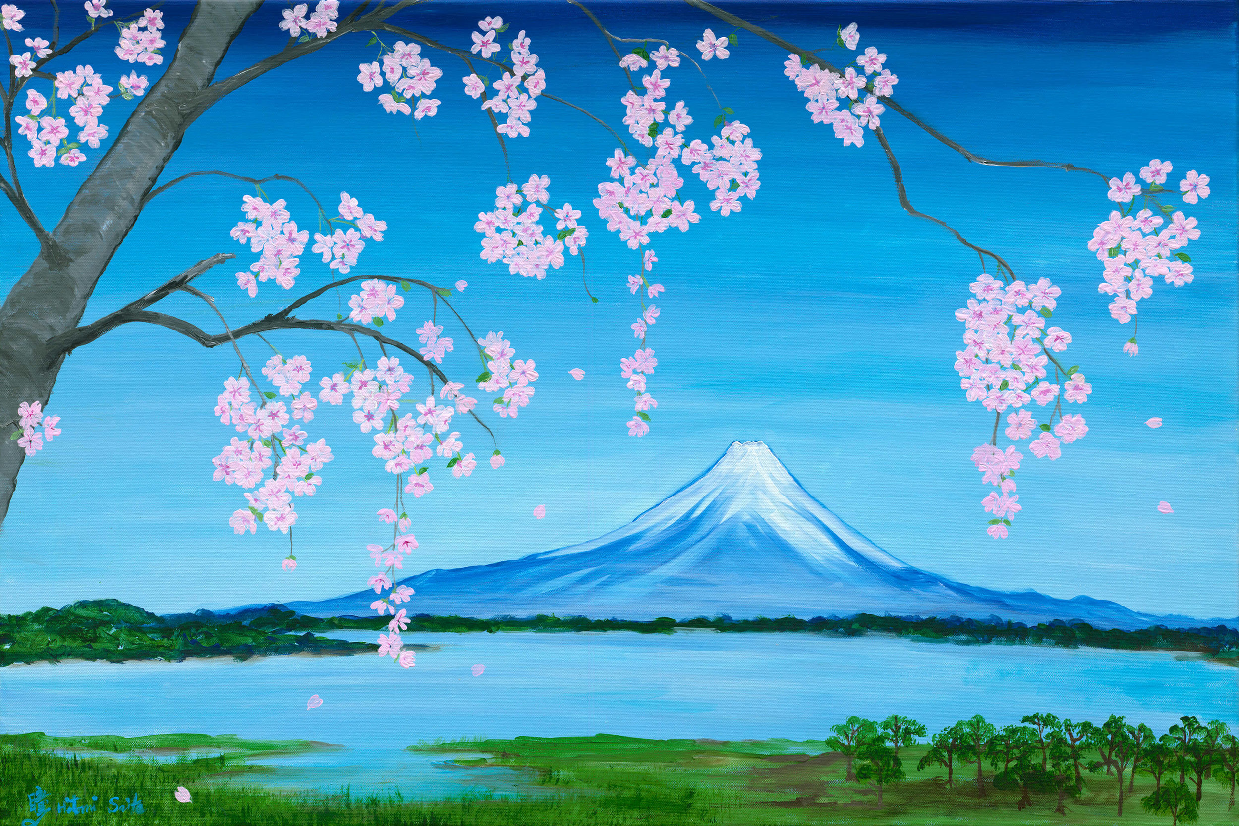 Hitomi Saito 2085173_Cherry Blossoms.jpg