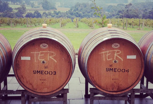 Photo Credit | AMATO VINO