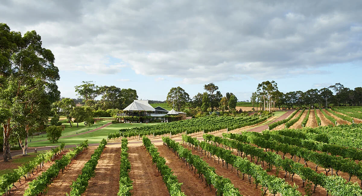 From there we head across to Margaret River’s founding winery for a privately hosted wine tasting followed by a three-course wine paired lunch in the beautiful surrounds of the Vasse Felix Estate. The Vasse Felix Restaurant offers a beautiful setting to indulge in regional flavours, textures and creative cuisine to compliment the Wine Collection.
