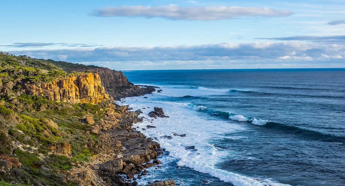 One of the Margaret River region's best-kept secrets - the mesmerising, 40m tall Wilyabrup Cliffs, accessible by way of a gentle undulating walking trail through a private pastoral landscape.