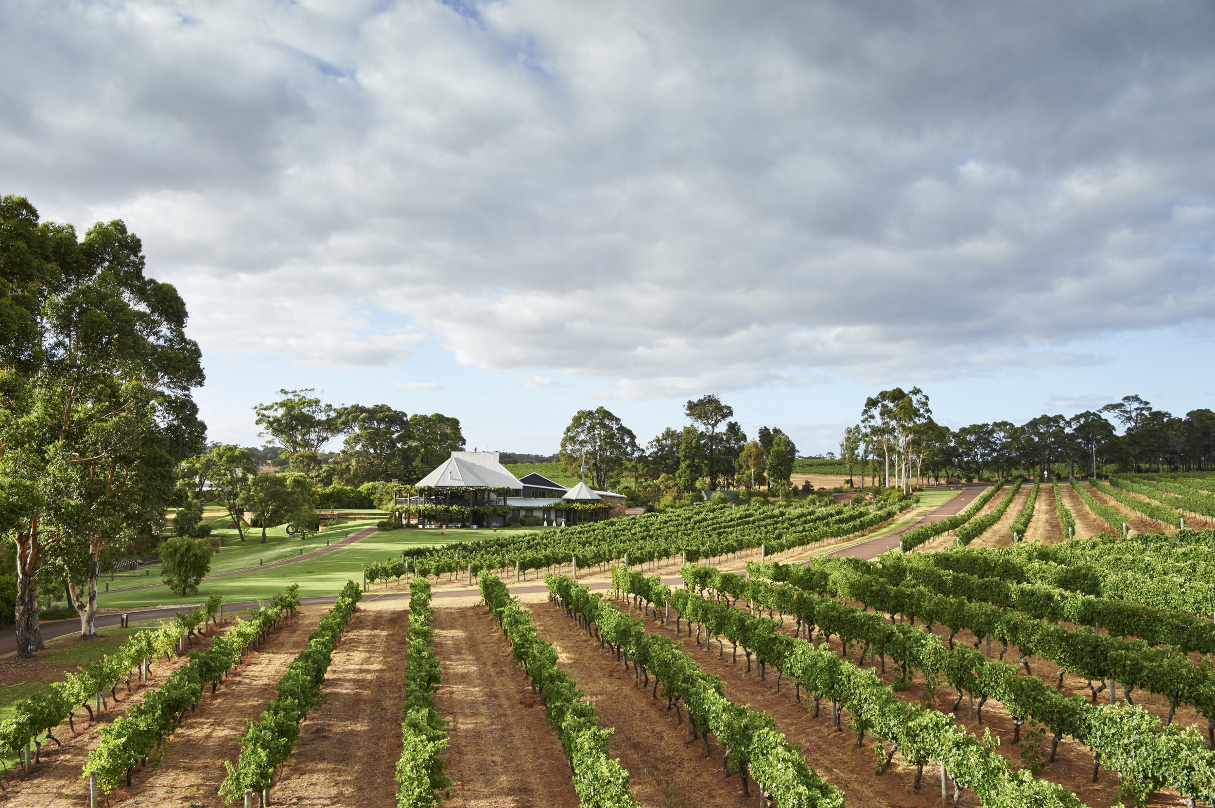  Vasse Felix Vines and Restaurant! 