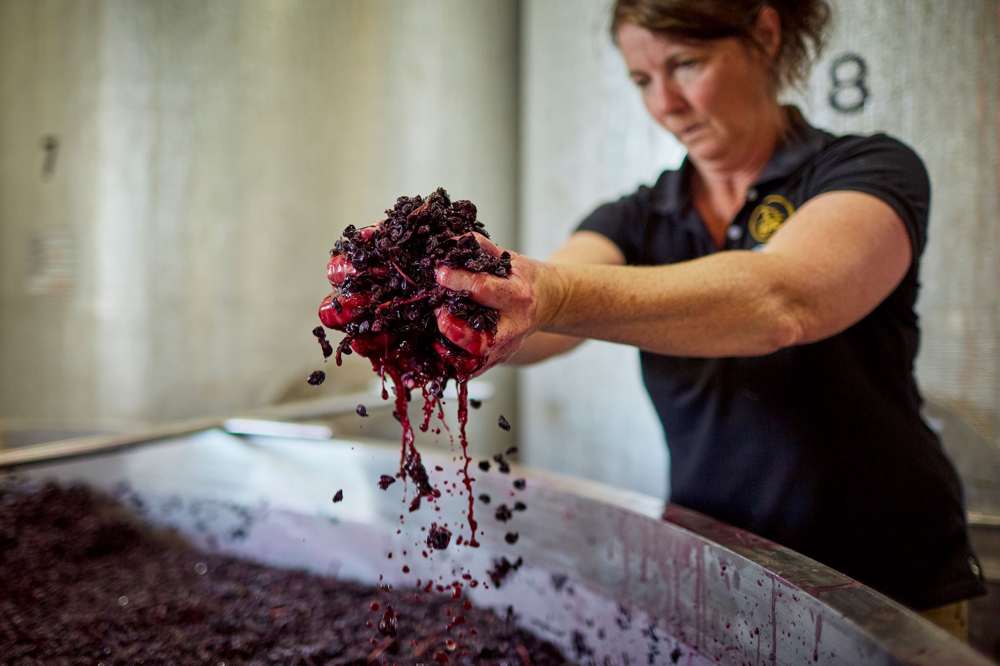 Red grape marc | WHICHER RIDGE WINES