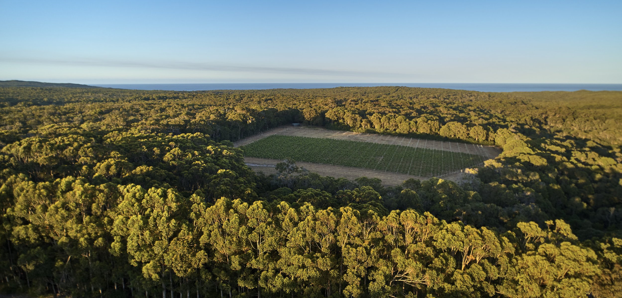 When in nature, we’re in our element. We’ve been hand to vine for the last 110 years, after all. Our wine directly reflects the details of the site from where it was sourced.  Corymbia Wines