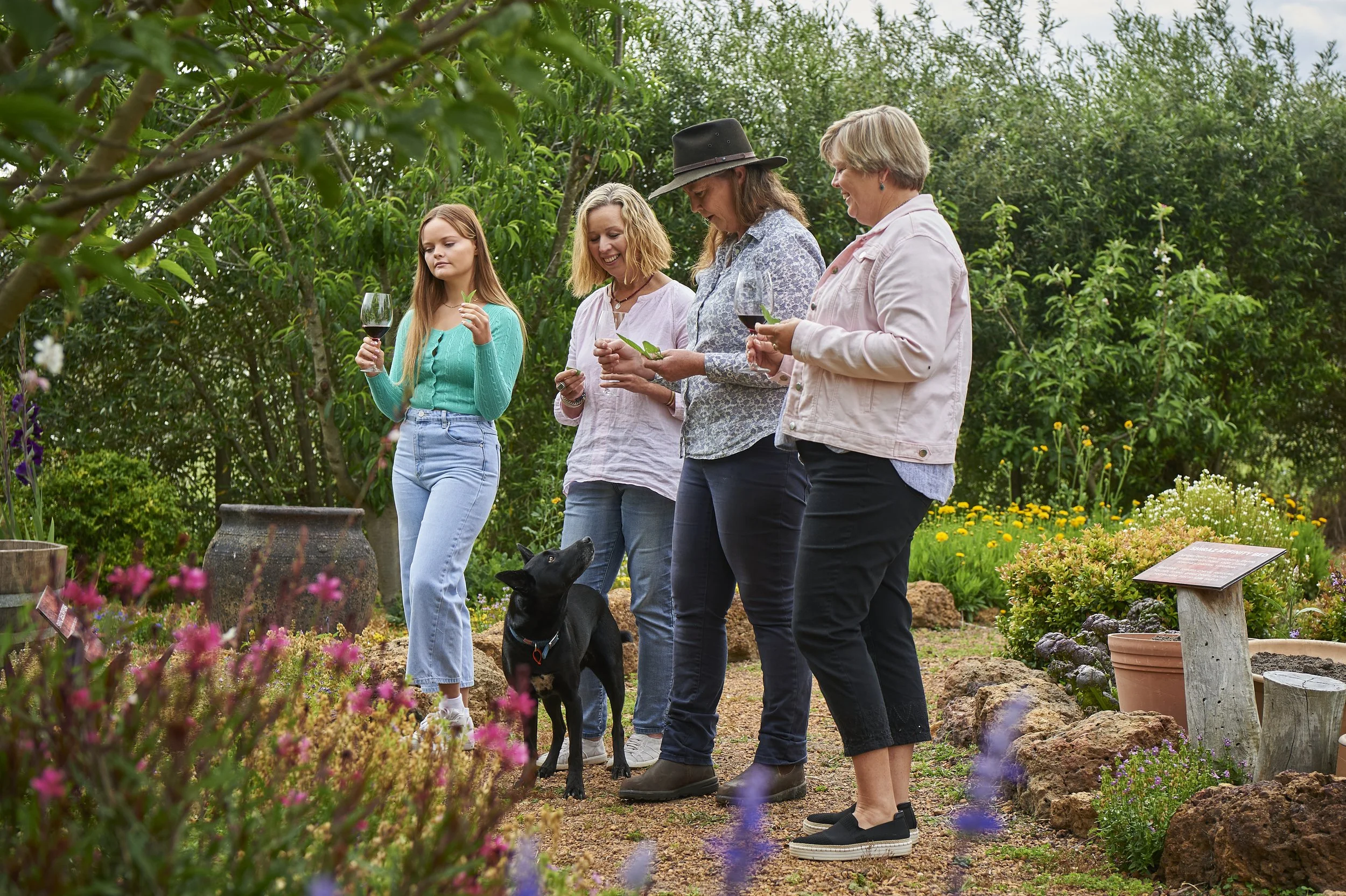 The Whicher Ridge Wines wine sensory garden is a totally unique winery experience, being the only one of it’s kind in Australia.