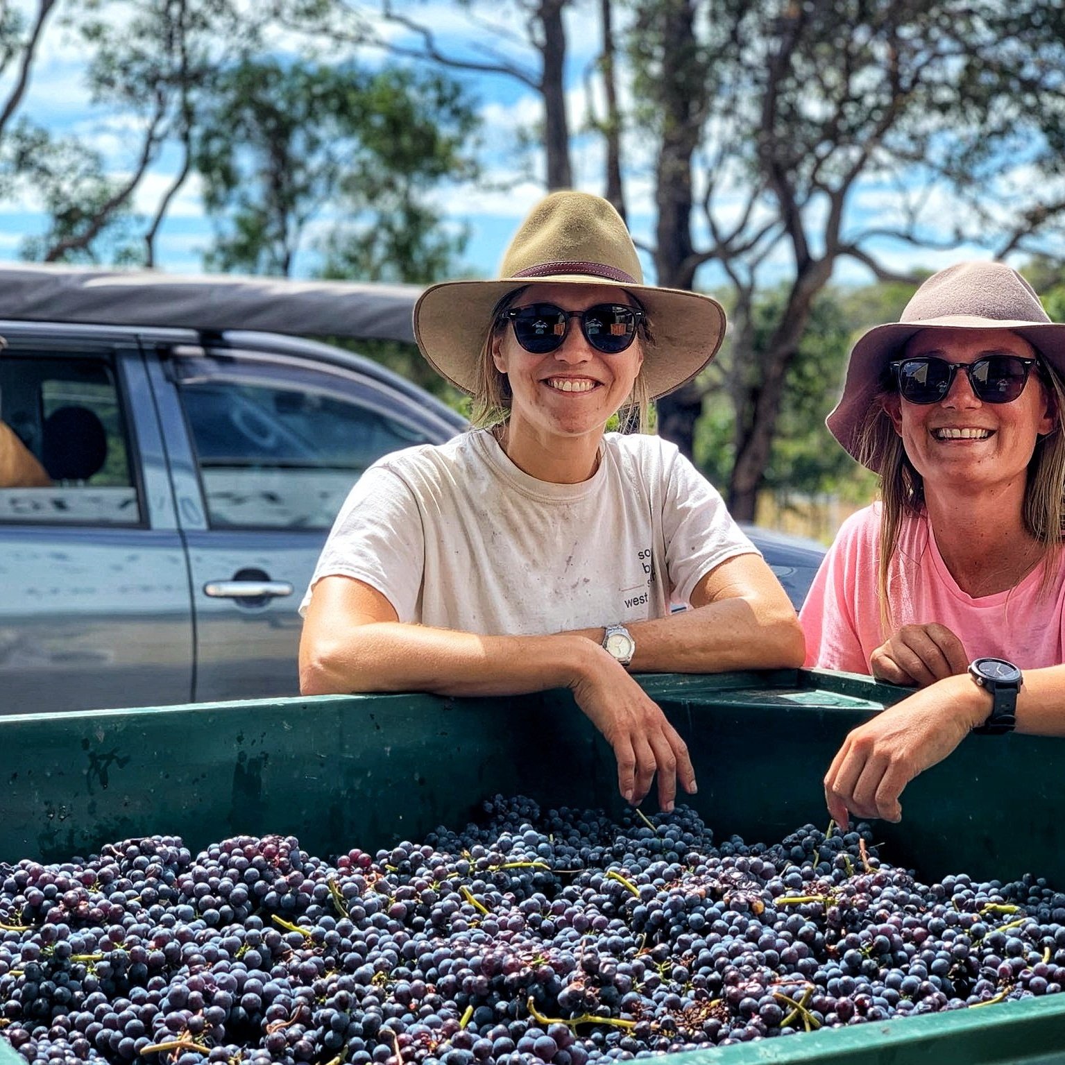 Their fruit is sourced independently from a loyal network of pioneering growers, and the results are small batches of unique and ever-changing styles...South by South West Wines