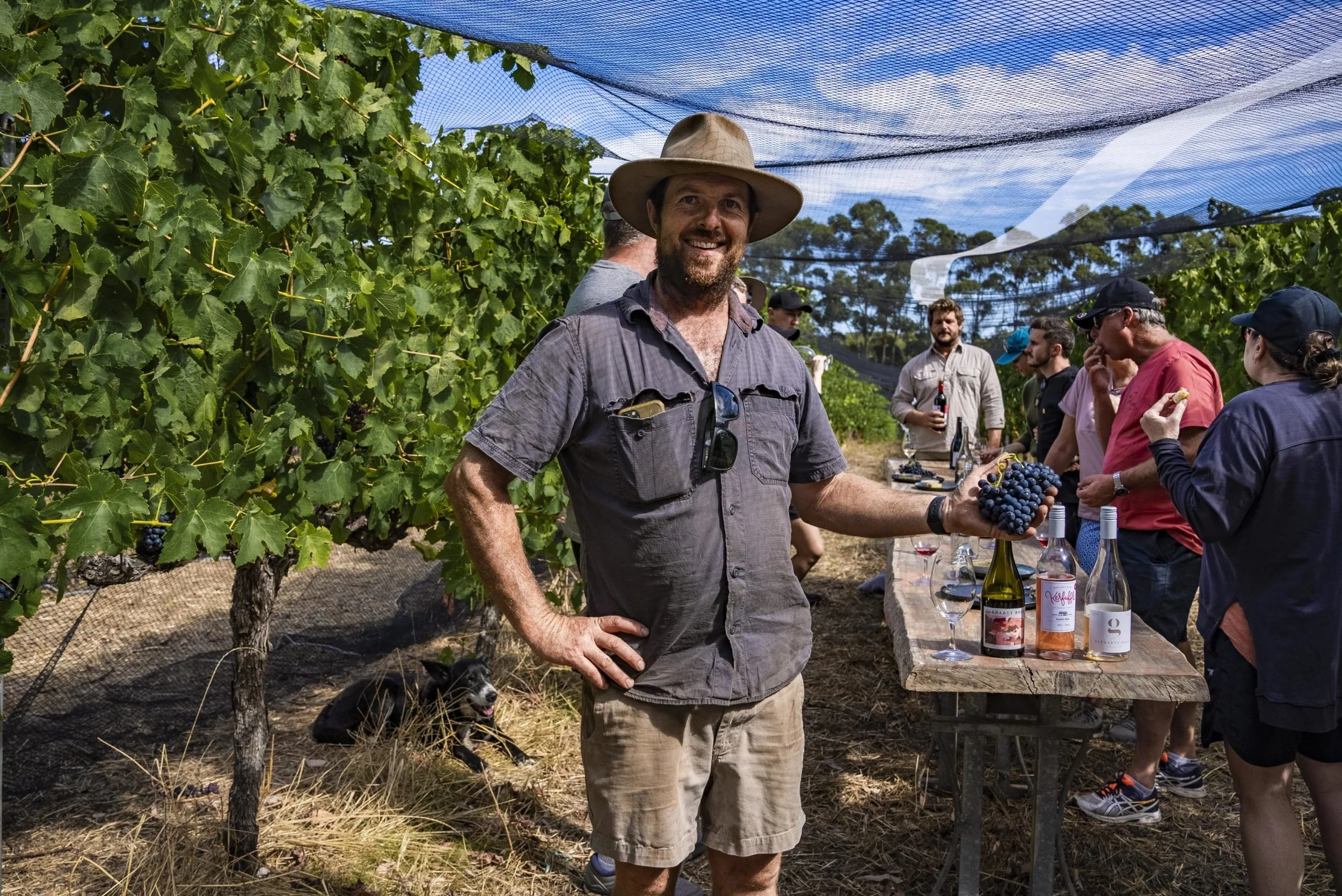  The  ‘   Vino in the Vines’    e xperience and beyond the farmhouse at ‘Glenarty Road’, is an ultimate wine, farm, and food adventure! Here you will journey through the farm, and enjoy up to 10 wines right at the source, paired with a roaming four-s