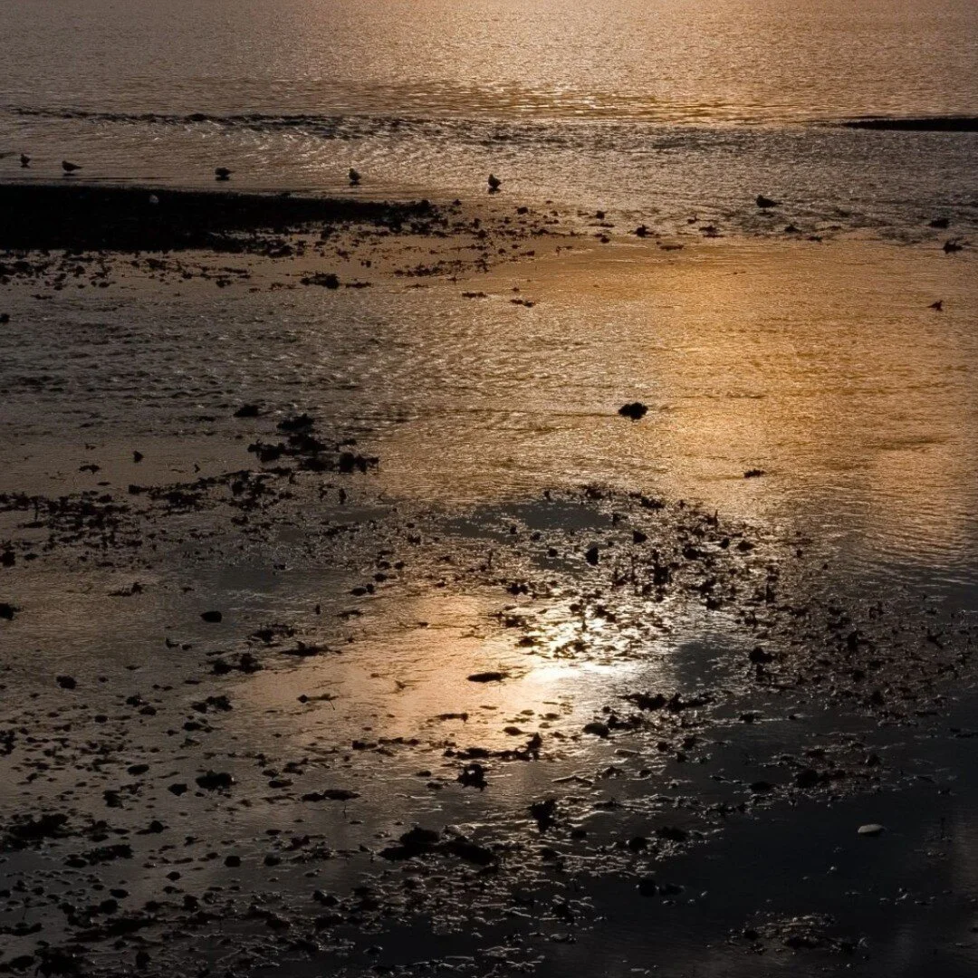 Wasteland. Gold.

.
.
.
.

DEUS Single Release.
.
.
.
.
#single&nbsp;#new&nbsp;#comingsoon&nbsp;#gold&nbsp;#river&nbsp;#land&nbsp;#set&nbsp;#elenimylonaofficial