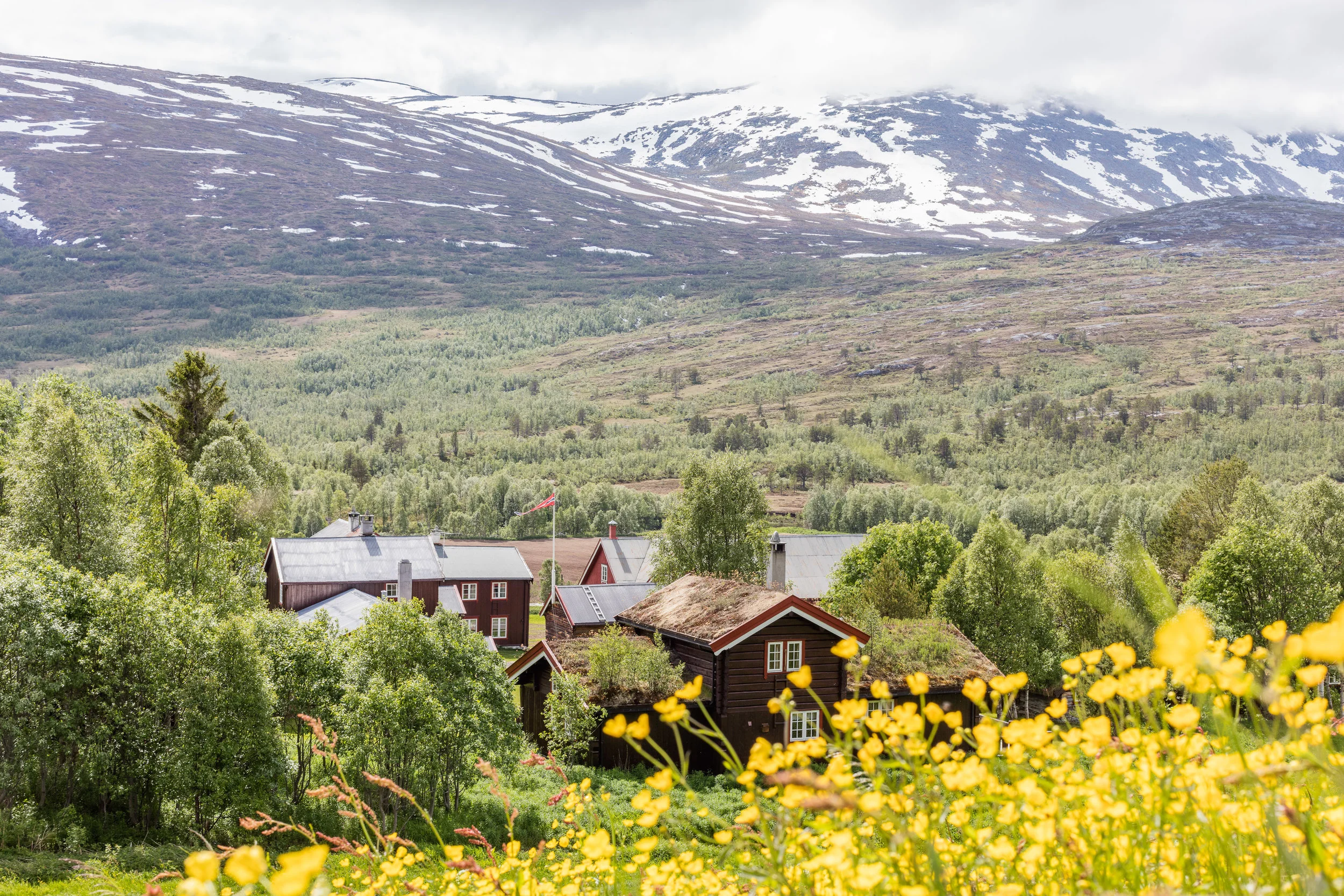 Bortistu Gjestegård ligger i Oppdal kommune i naturskjønne omgivelser innerst i Storlidalen og i hjertet av Trollheimen.