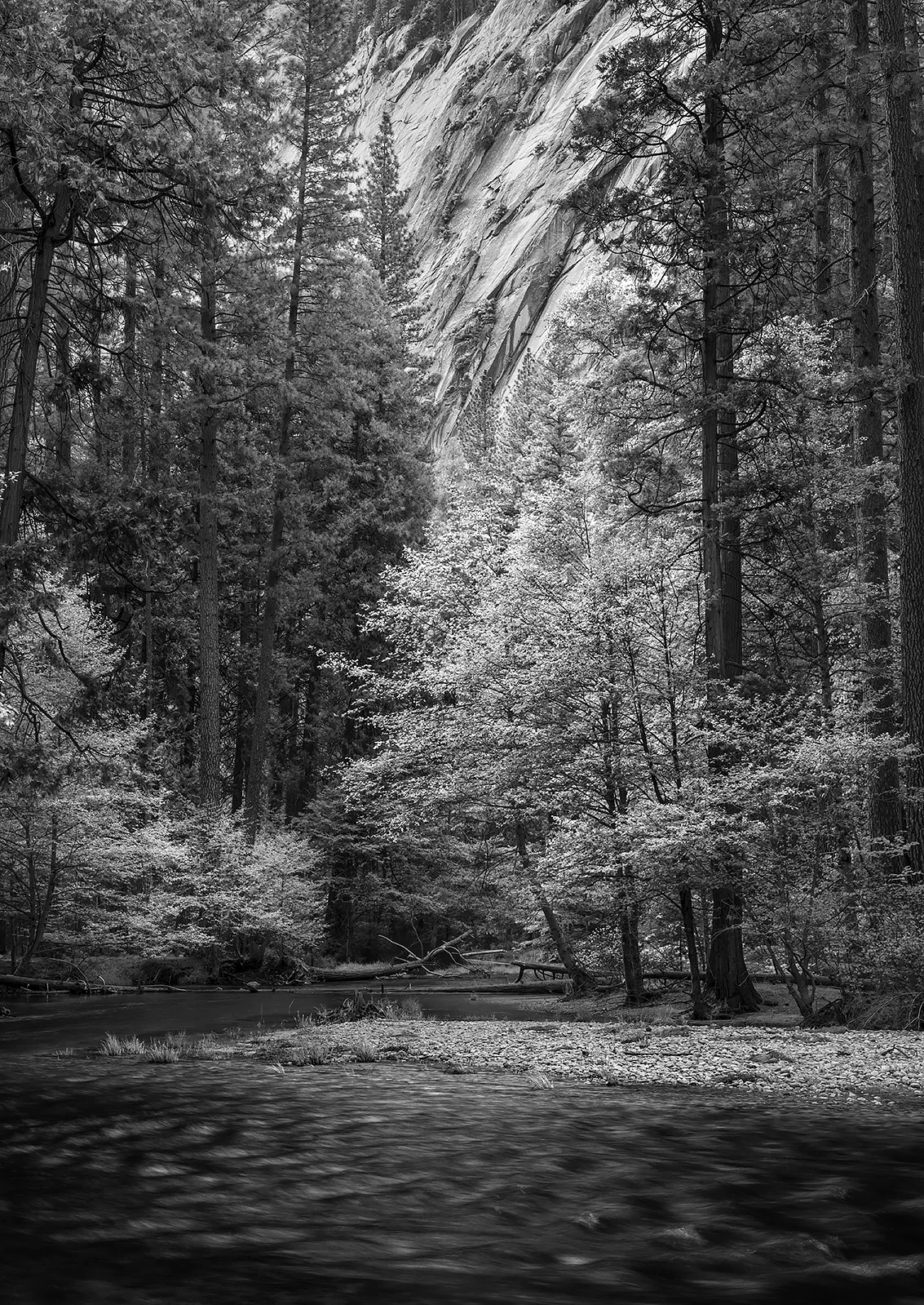 Tenaya Creek - Yosemite