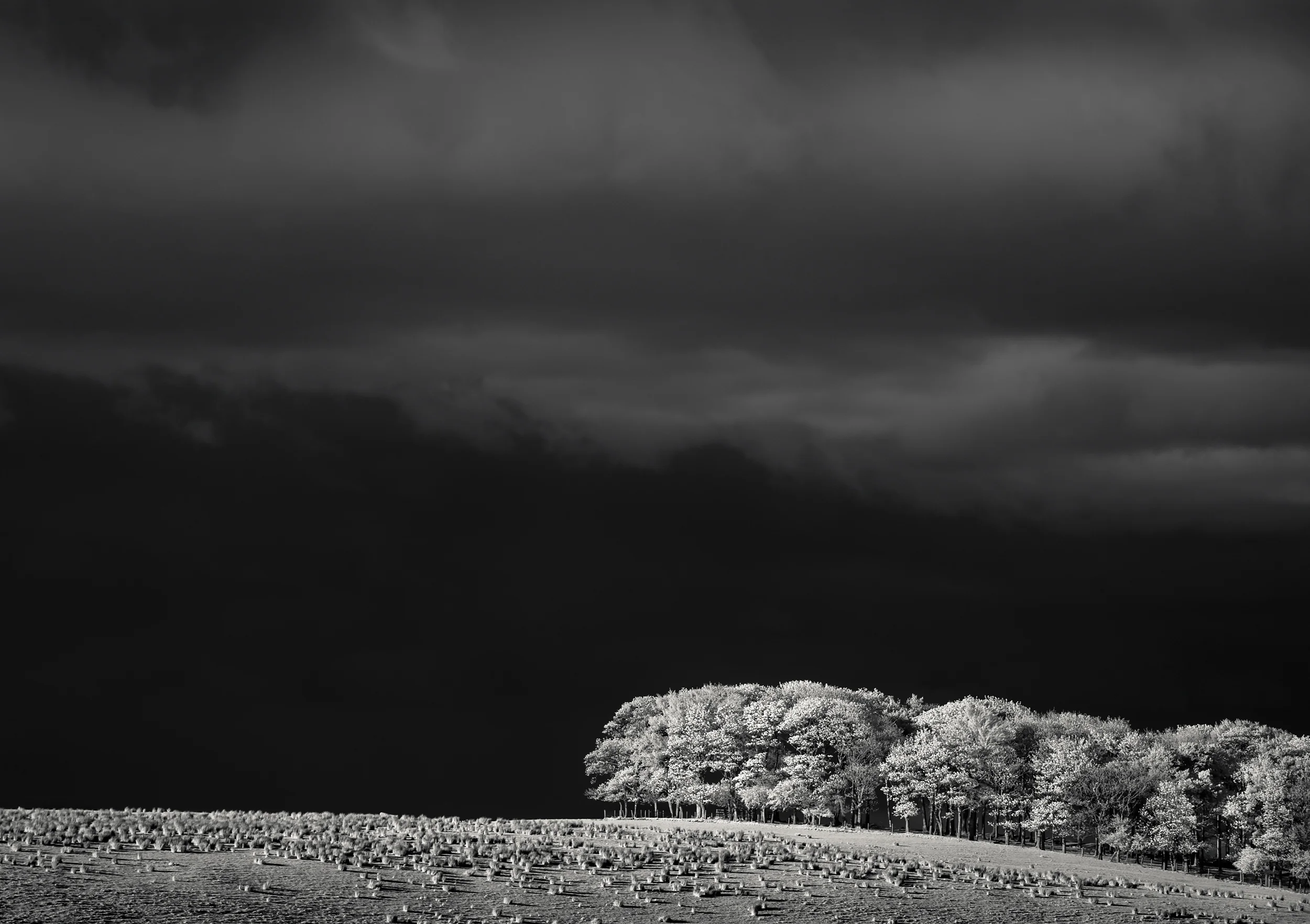 Approaching Storm