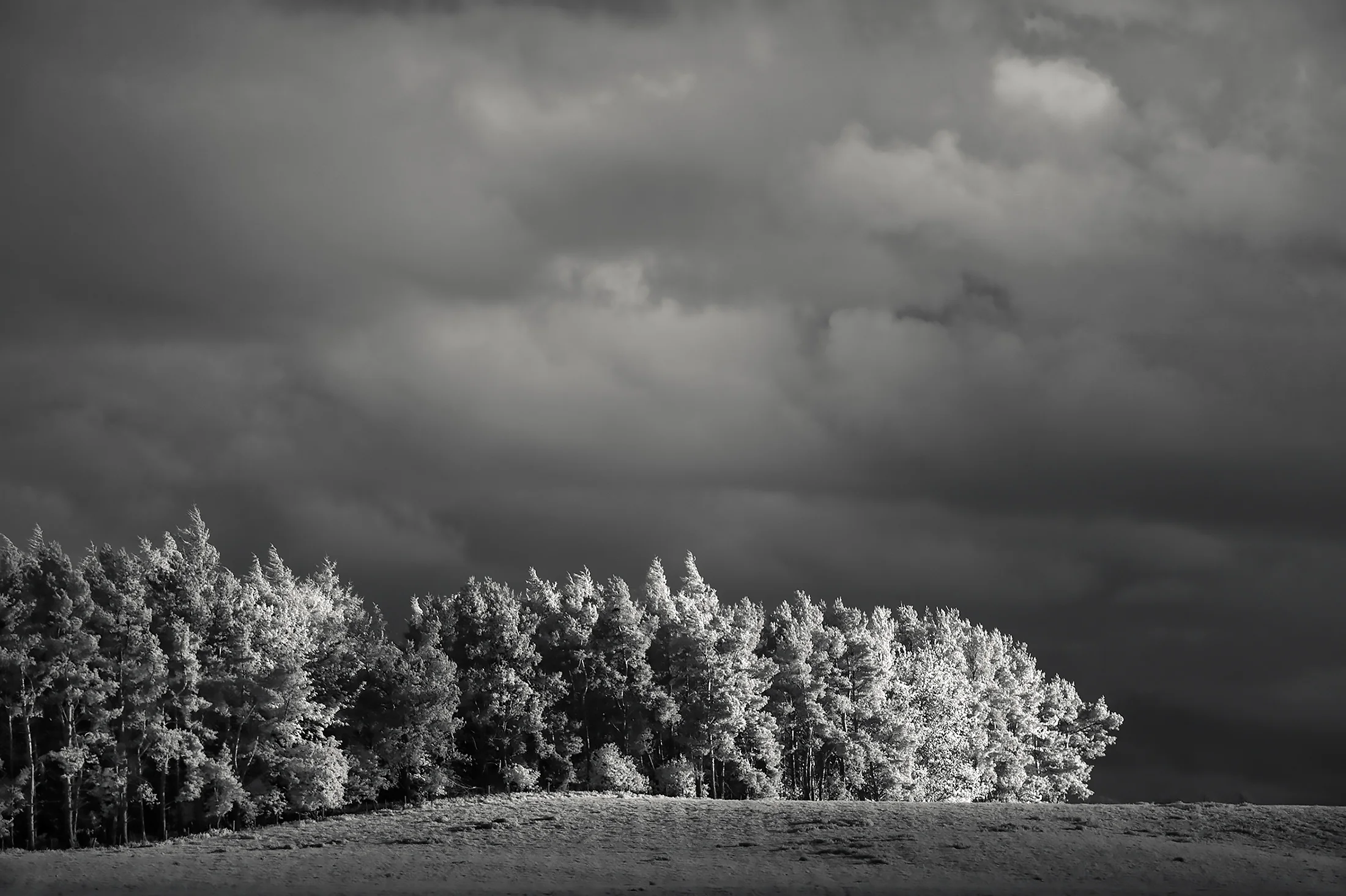 Storm Light