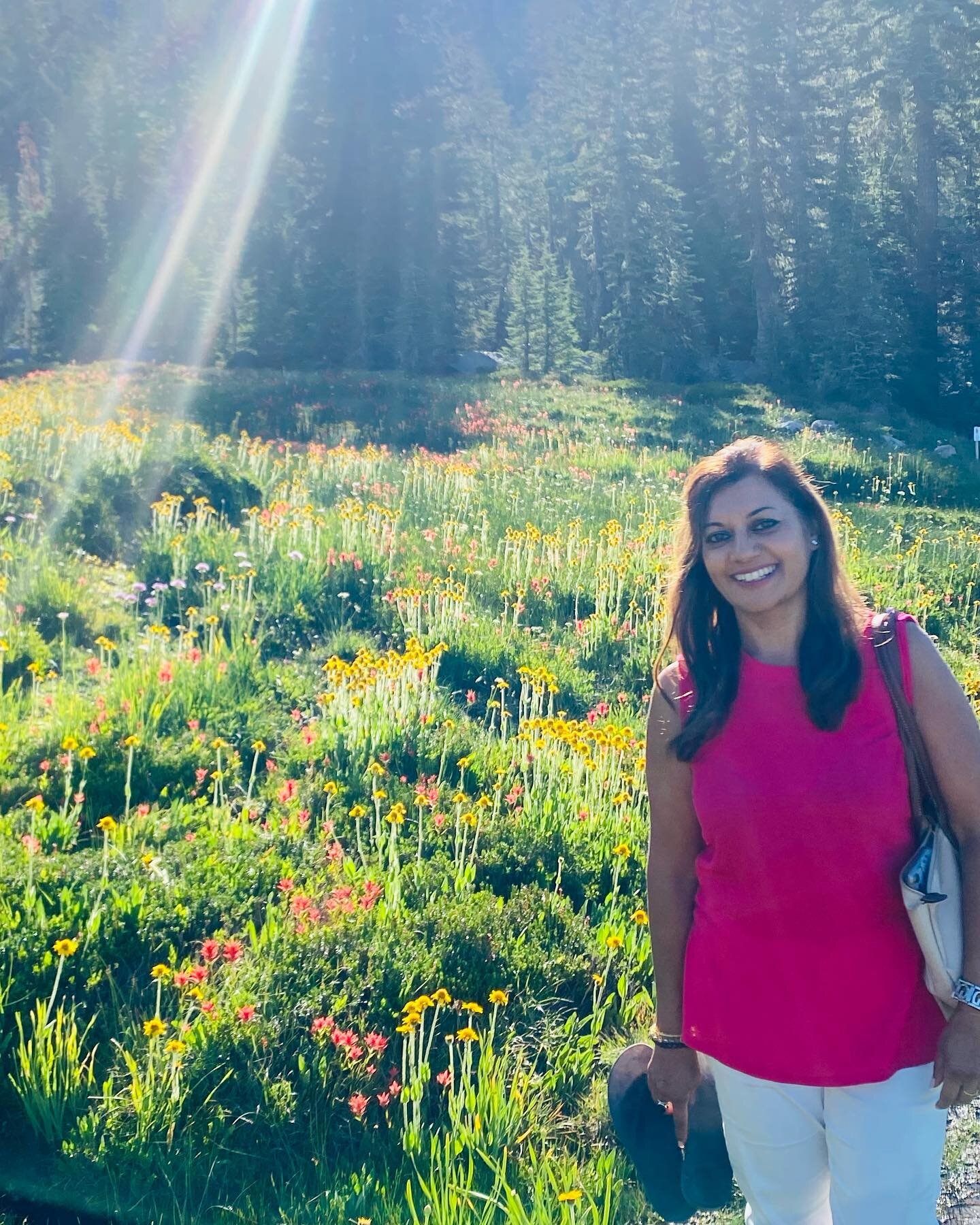 Rainbow Light Magic 🌈

Can you see the magical rainbow light all over this sacred land. Panther Meadow in its full bloom and beauty. Just jaw dropping and so so stunning. 🙏🏼🌈❤️

#light #rainbow #frequency #highervibrations #colours #sacred #beaut