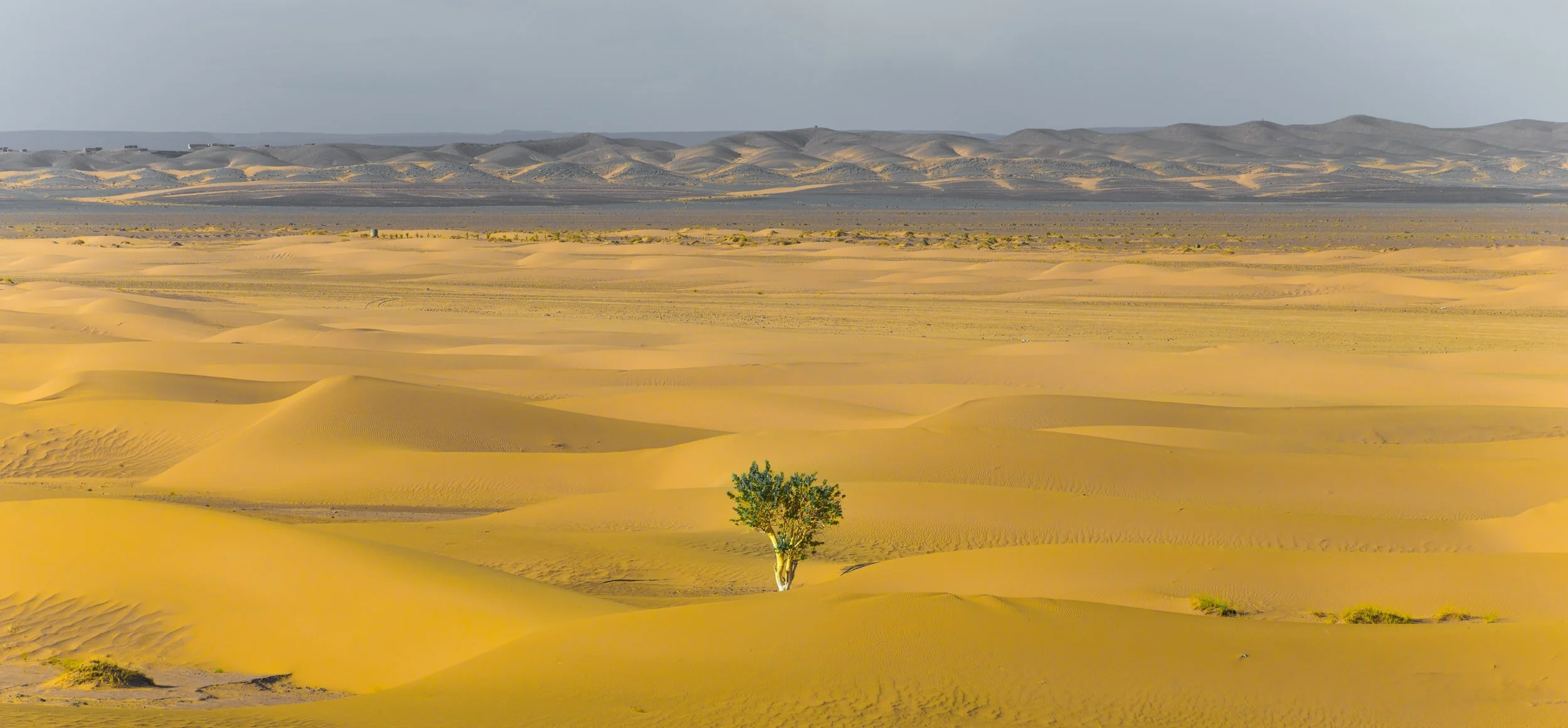 The CEO and The Coach Part 3: on Resilience