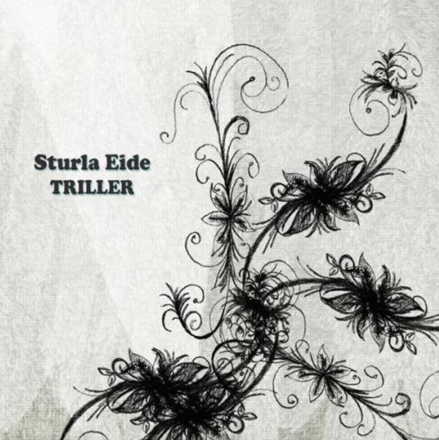 Sturla Eide - Triller Ronny Kjøsen: musiker (trekkspel, trøorgel) Her kan du høre Sturla Eide på spotify