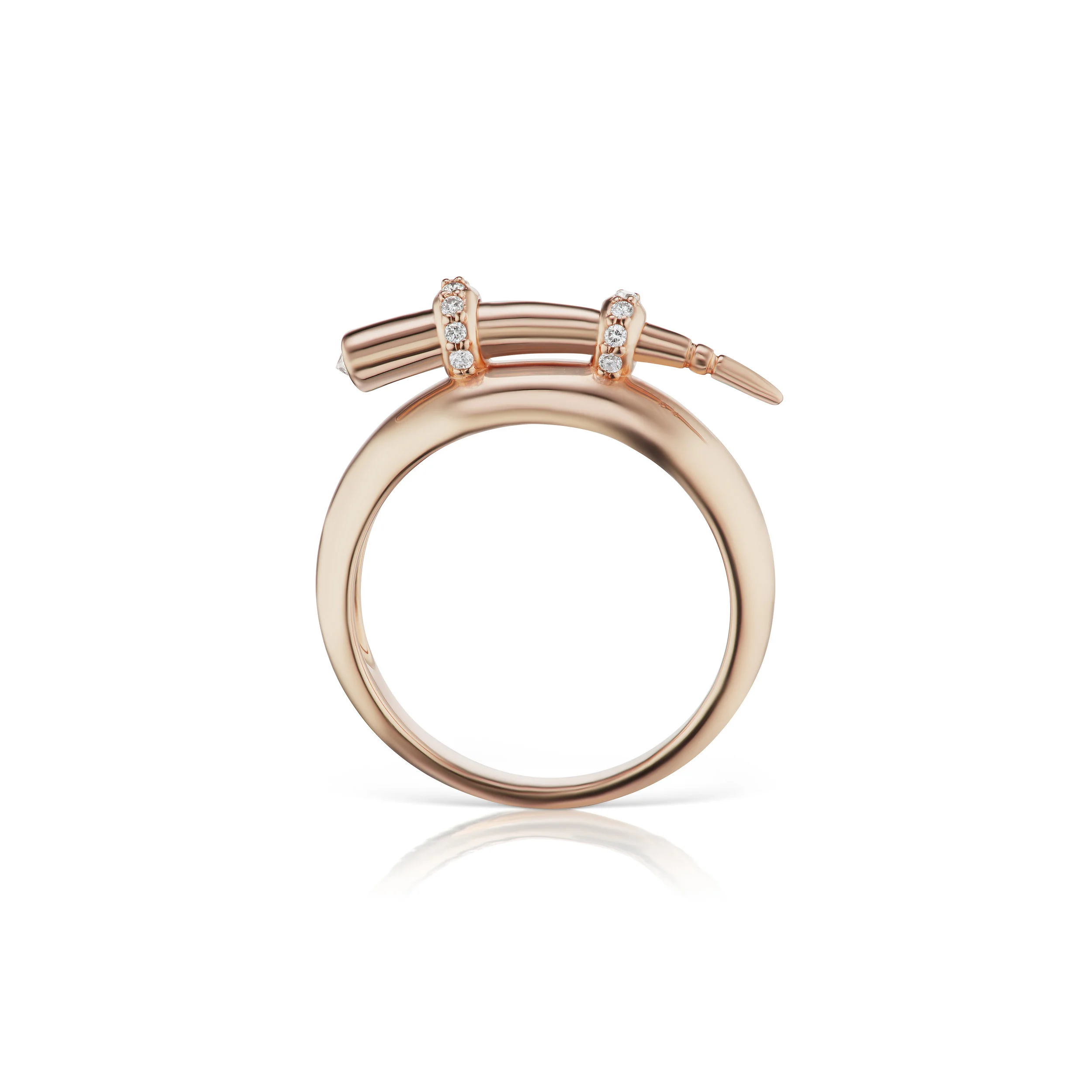 altruist_ring_1_view_2.jpg