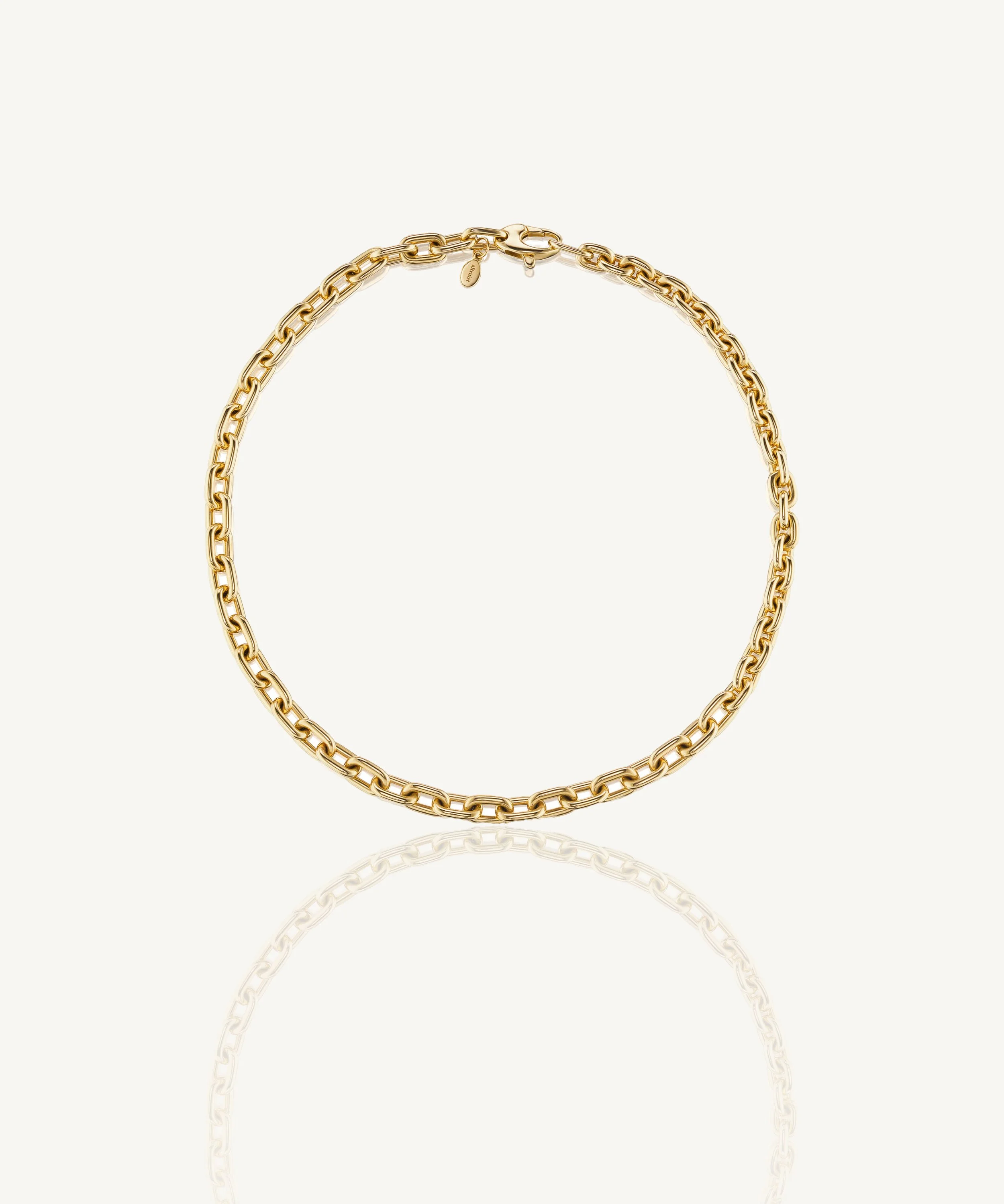 Hudson Graduated Chain Link Necklace