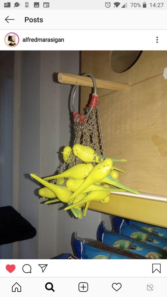 plasticbudgie.jpg