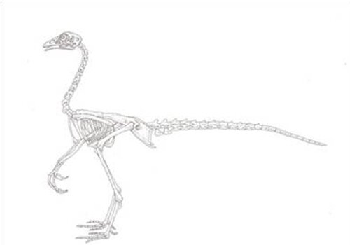 chickenosaurus.jpg
