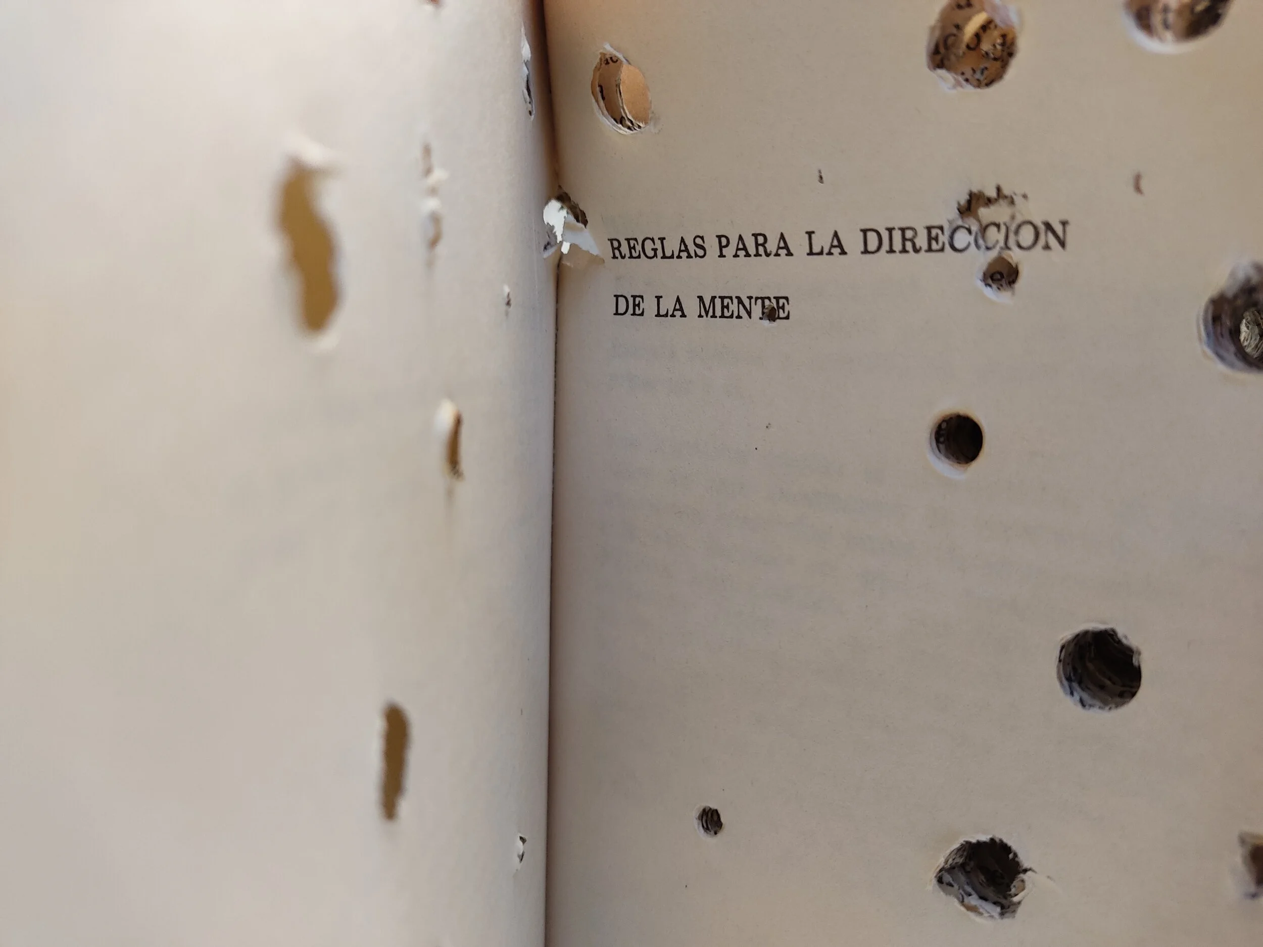 Hombre, blanco, cis: una etnografía de la blanquitud - Lucía Egaña Rojas