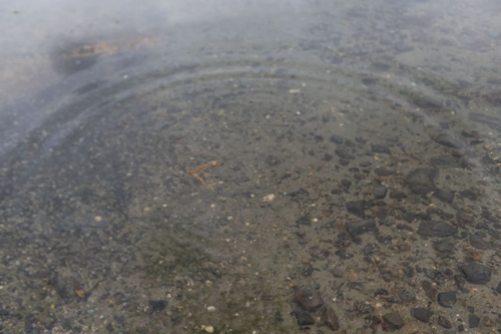 Activation - Agua como hogar - Bana Bha Meheba