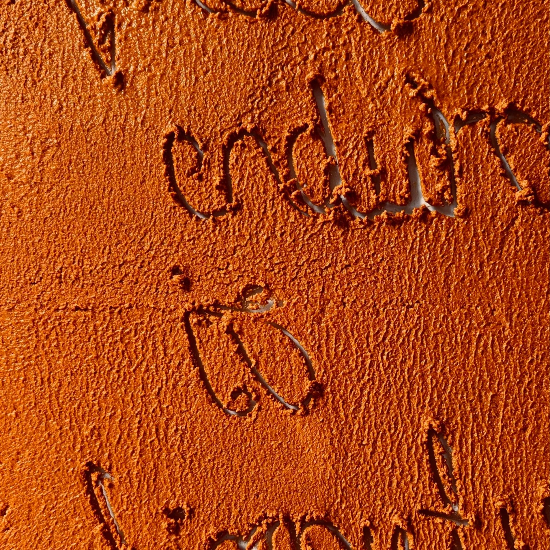 The Sun's Northward Journey