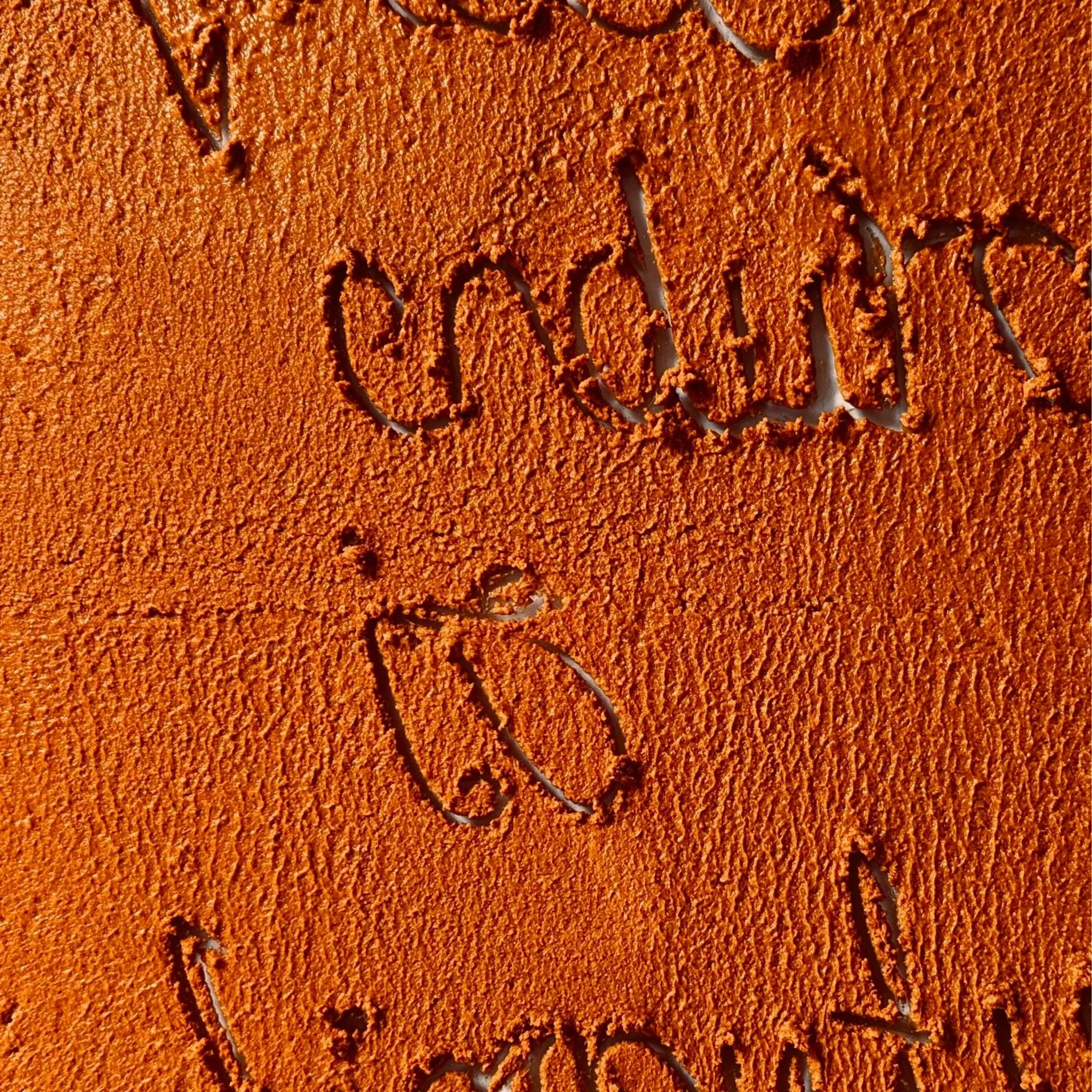 Opening - The Sun’s Northward Journey - Sejal Parekh