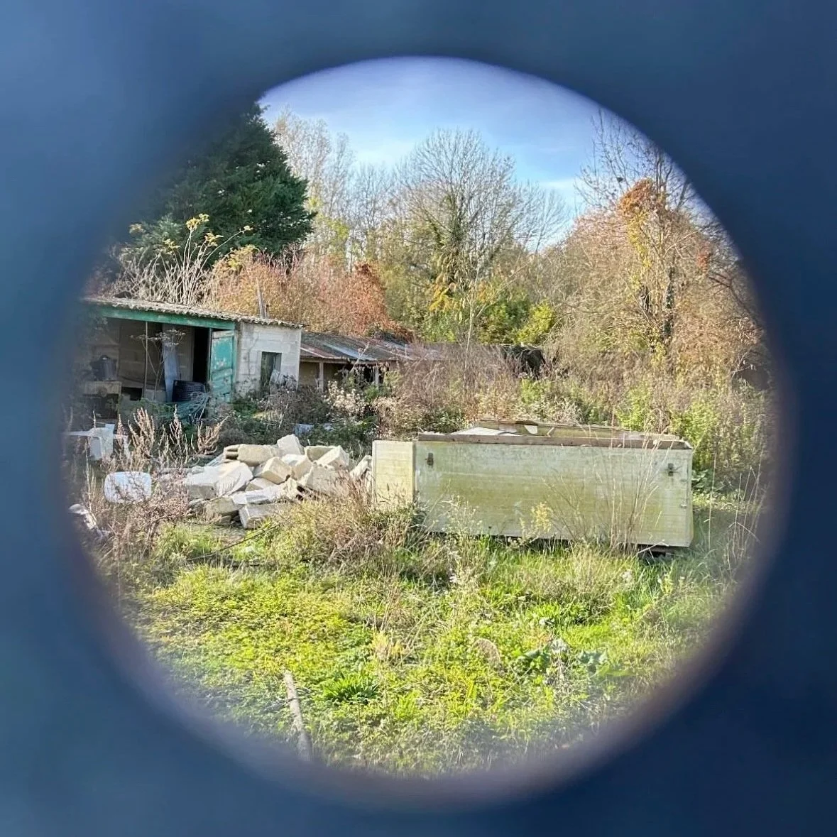 Mañana - Sergey Nemudrov