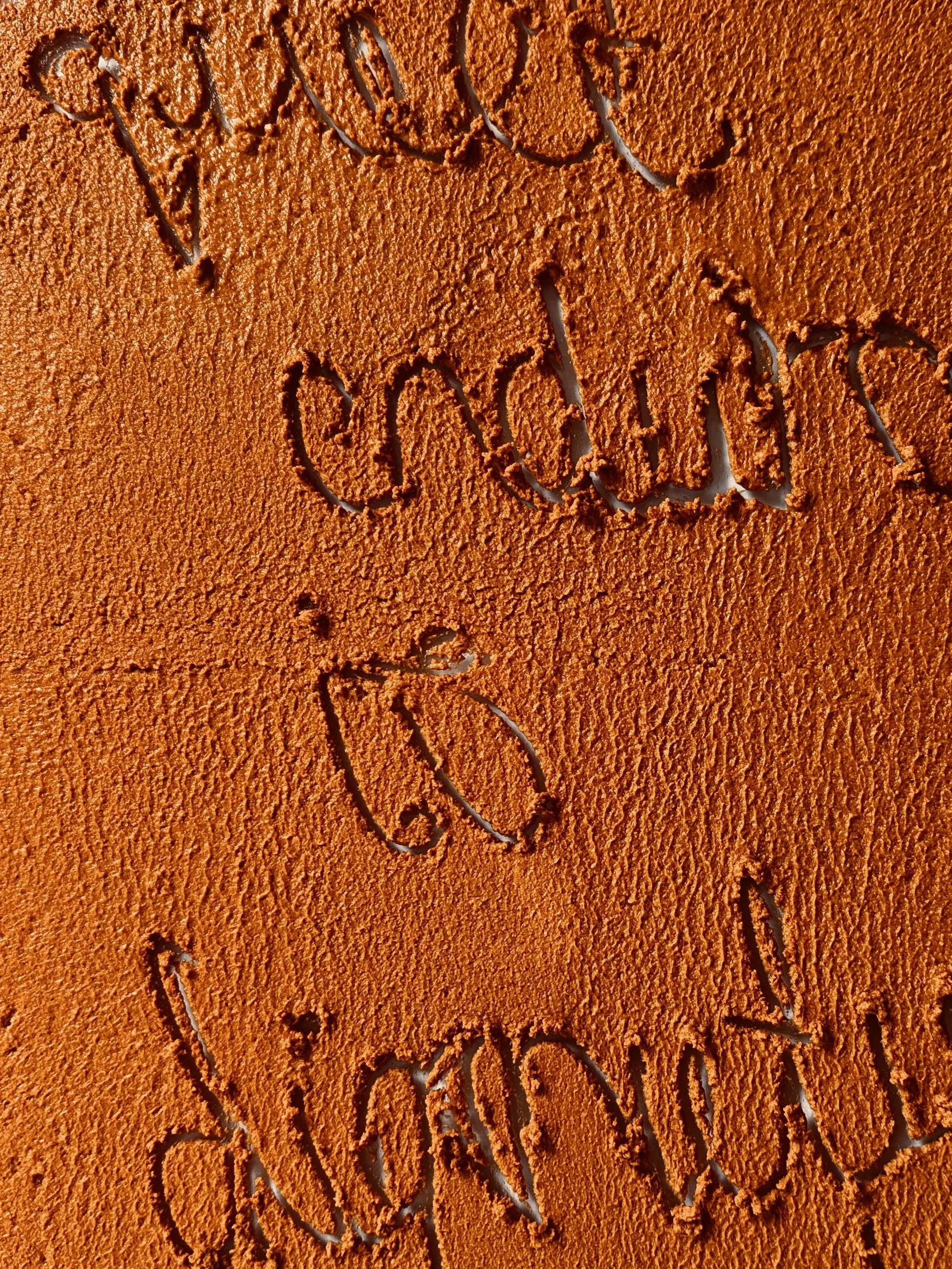 Sejal Parekh_Detail 2 for Tangent Web.jpeg