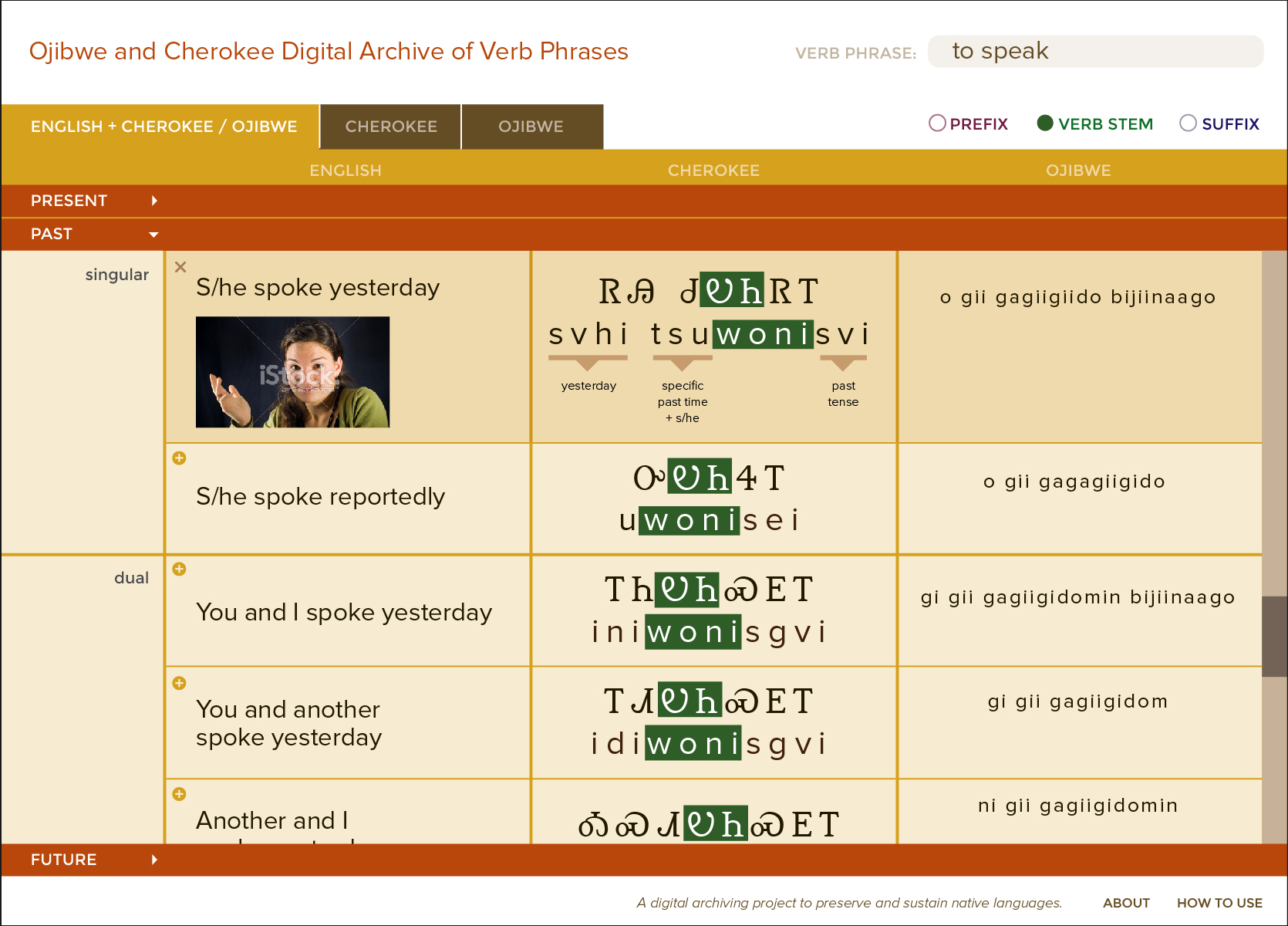 LanguageInterface_2a.jpg