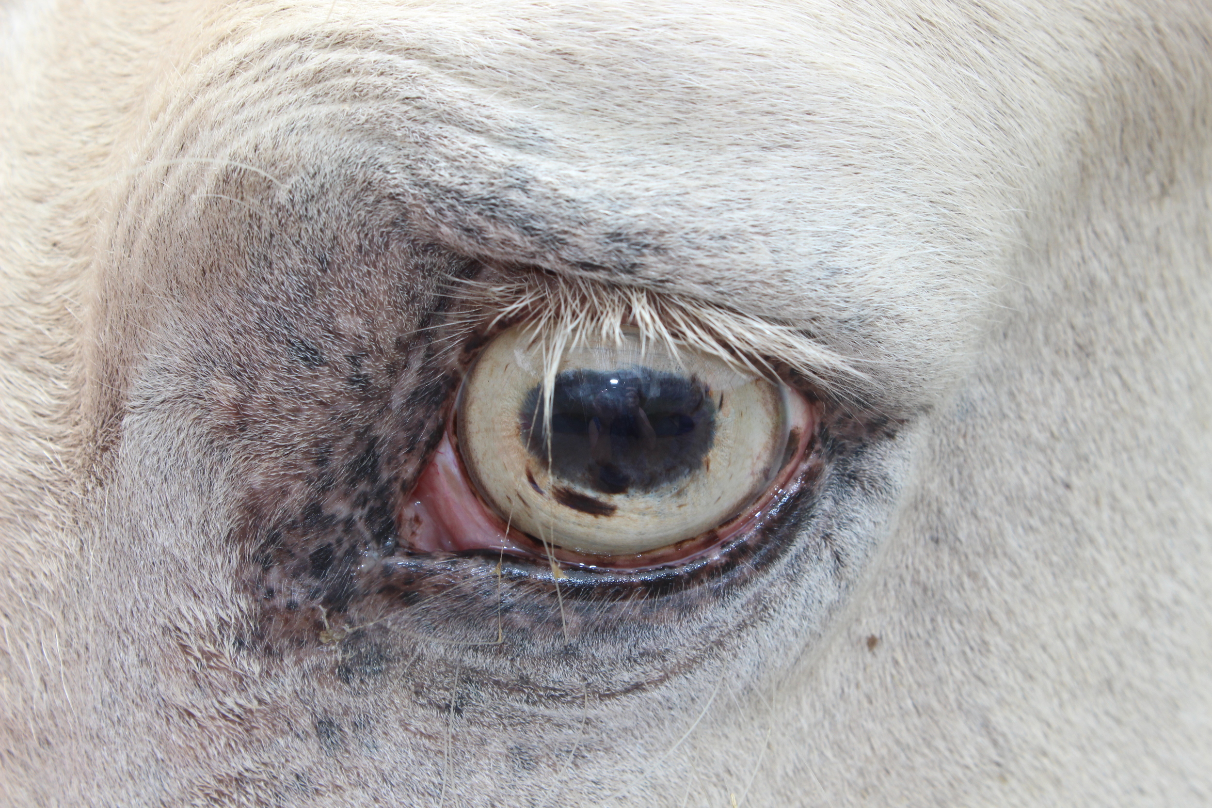 Summer 2015 2012-01-31 010 - Copy.JPG