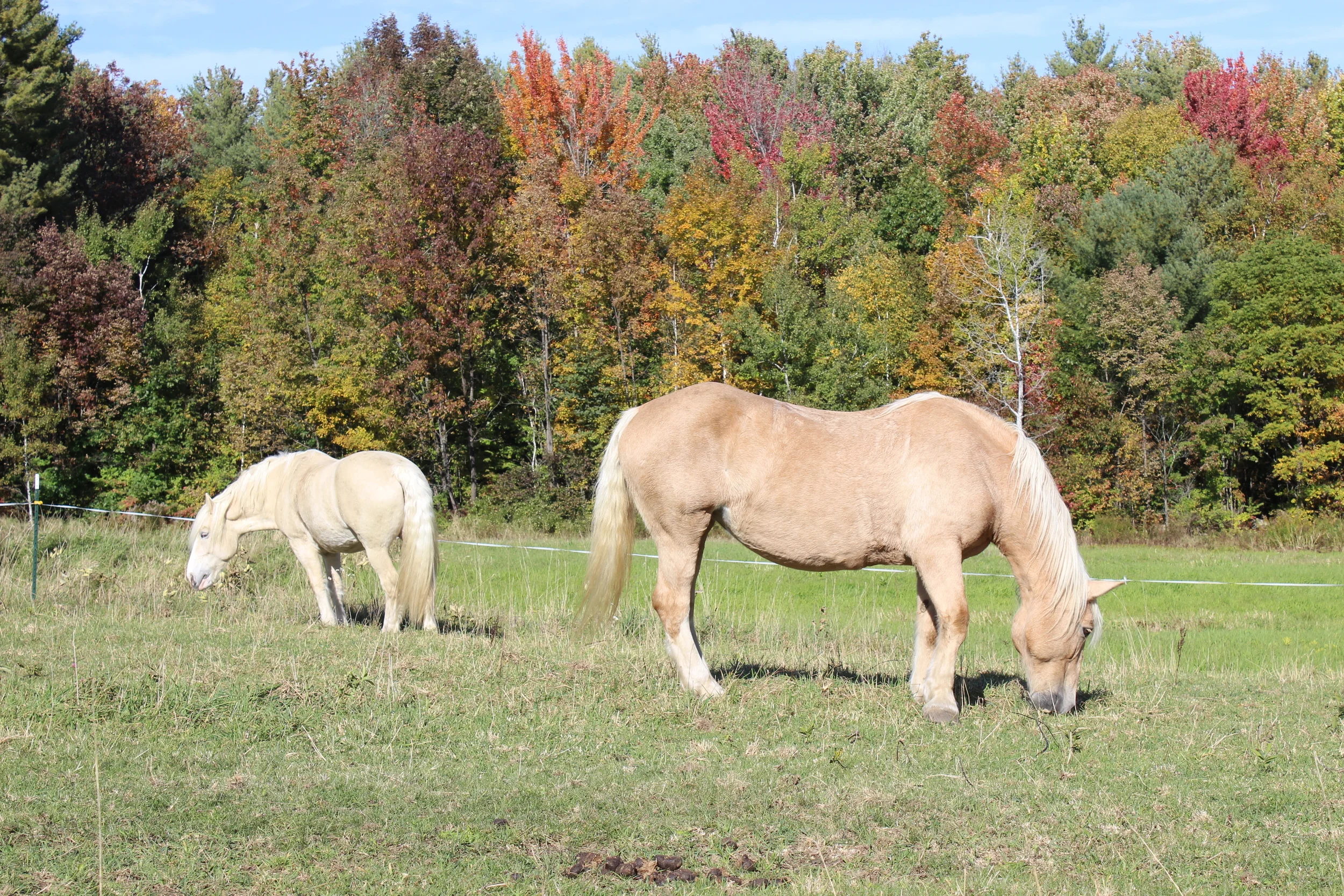 Canon Dec 2015 and Jan 2016 2012-05-06 004.JPG