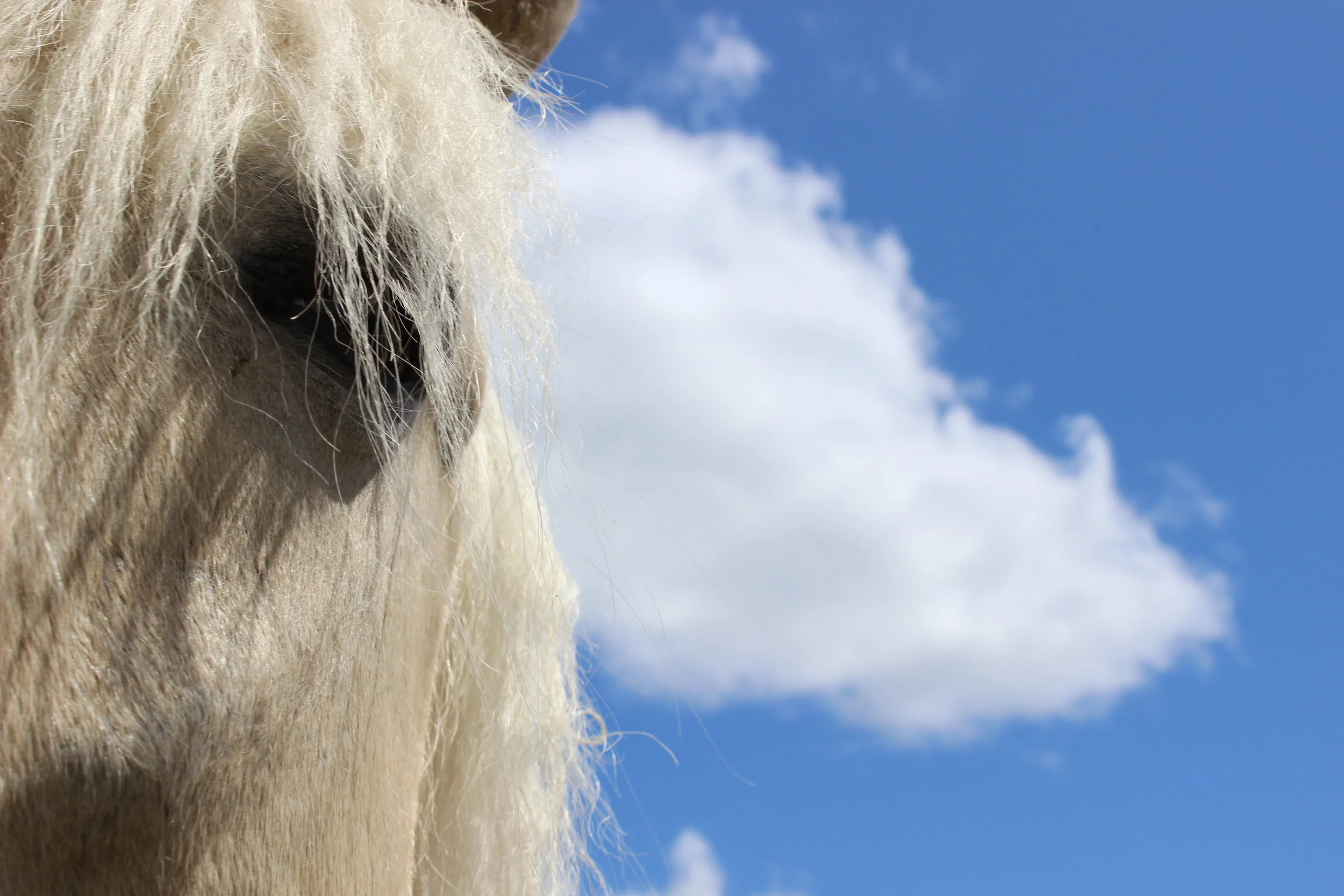 Summer 2015 2012-01-25 008.JPG