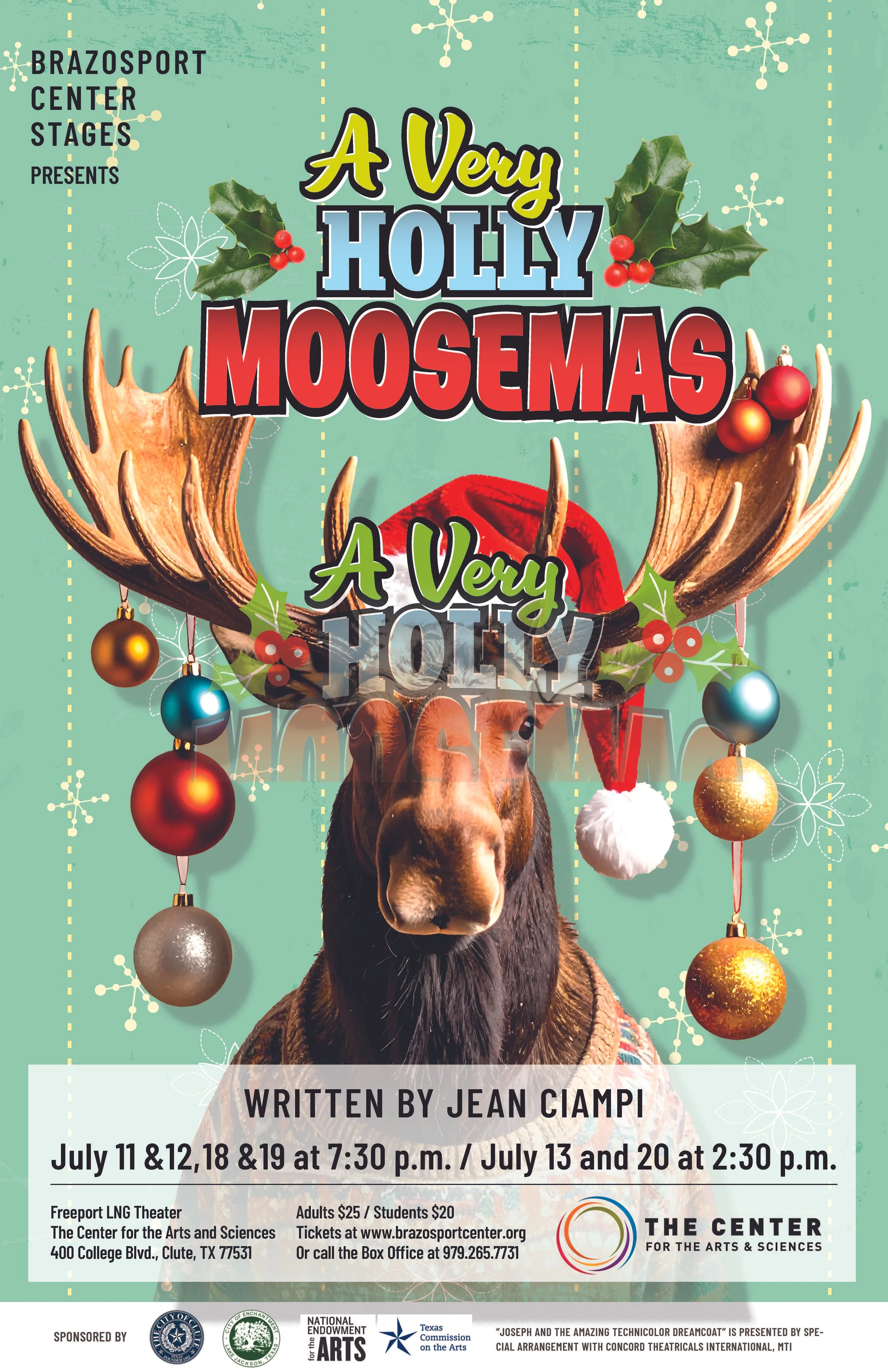 Drama-Queen-Graphics-A Very Holly Moosemas_theatre-branding-2.jpg