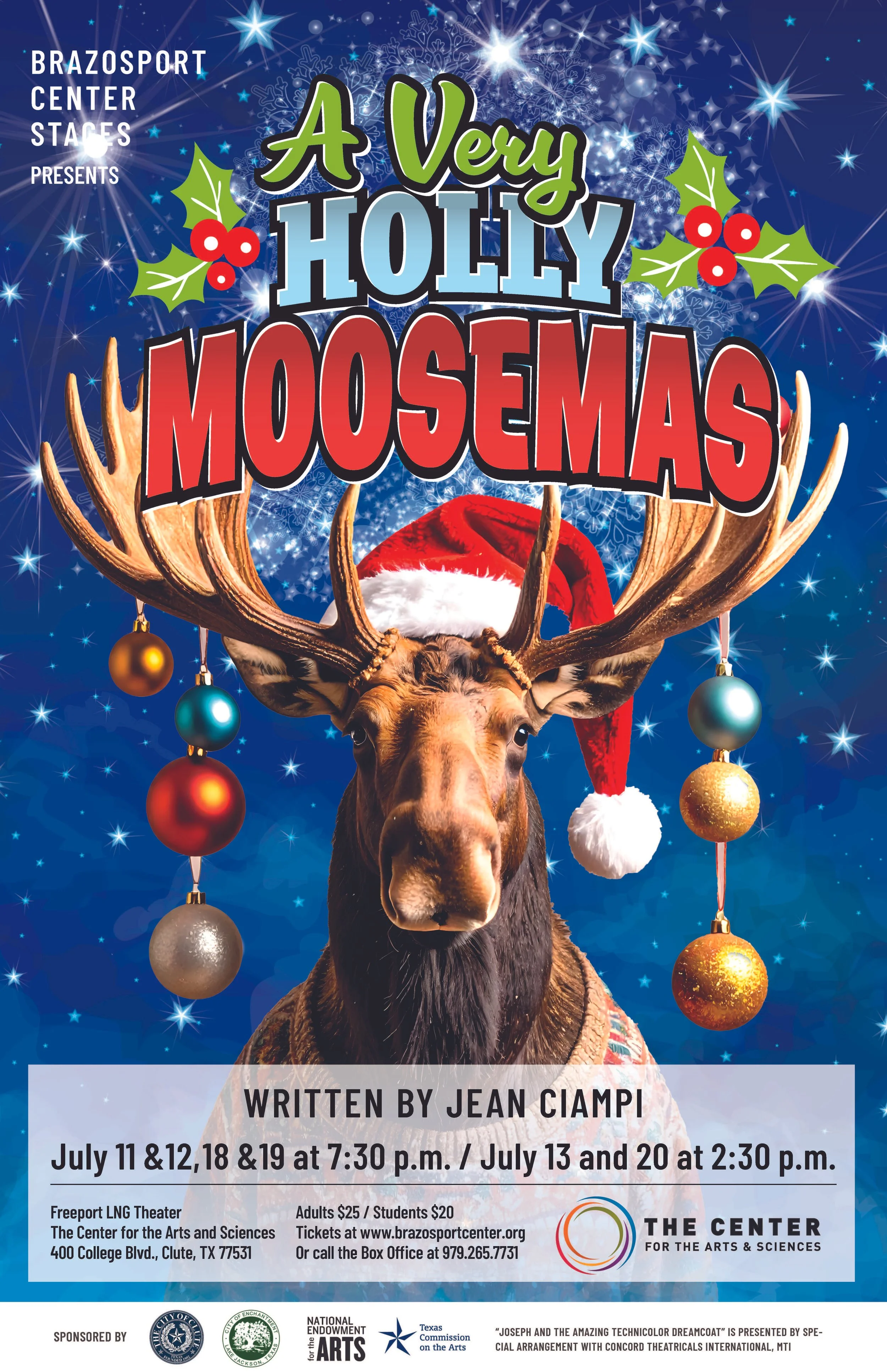 Drama-Queen-Graphics-A Very Holly Moosemas_theatre-branding.jpg