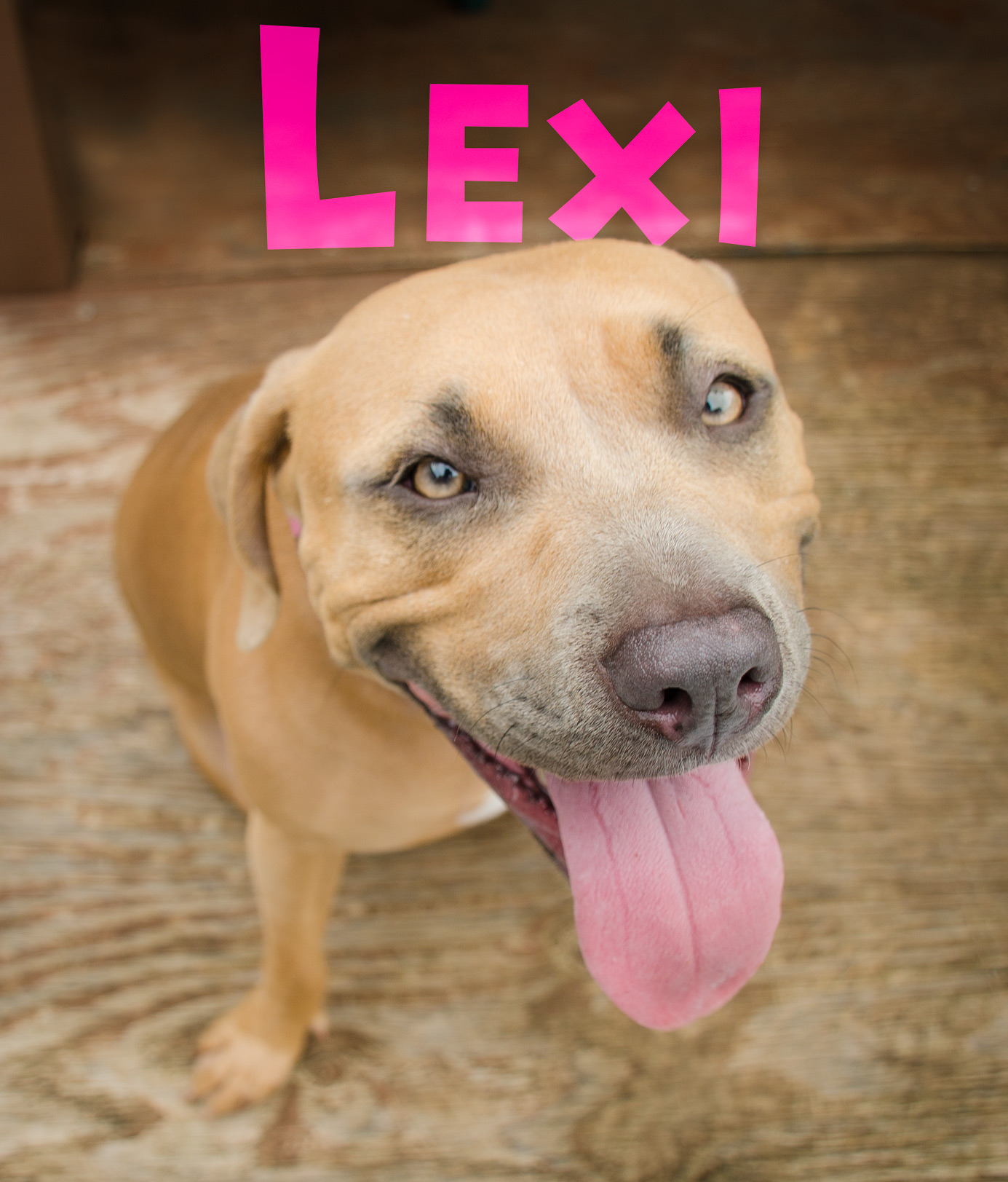 Lexi-Name-Web-DSC_1902.jpg