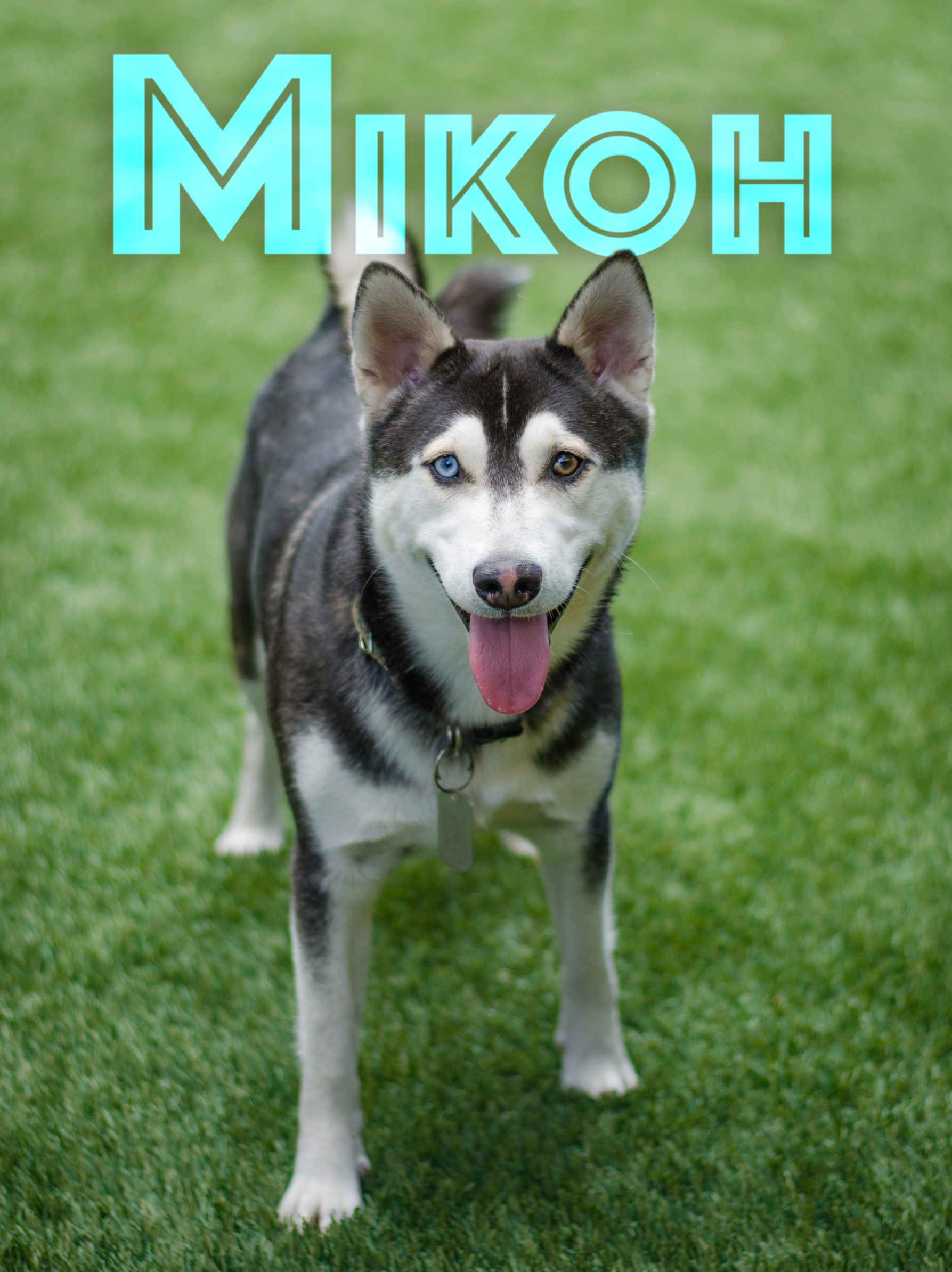 Mikoh-Name-Web-DSC_1527.jpg