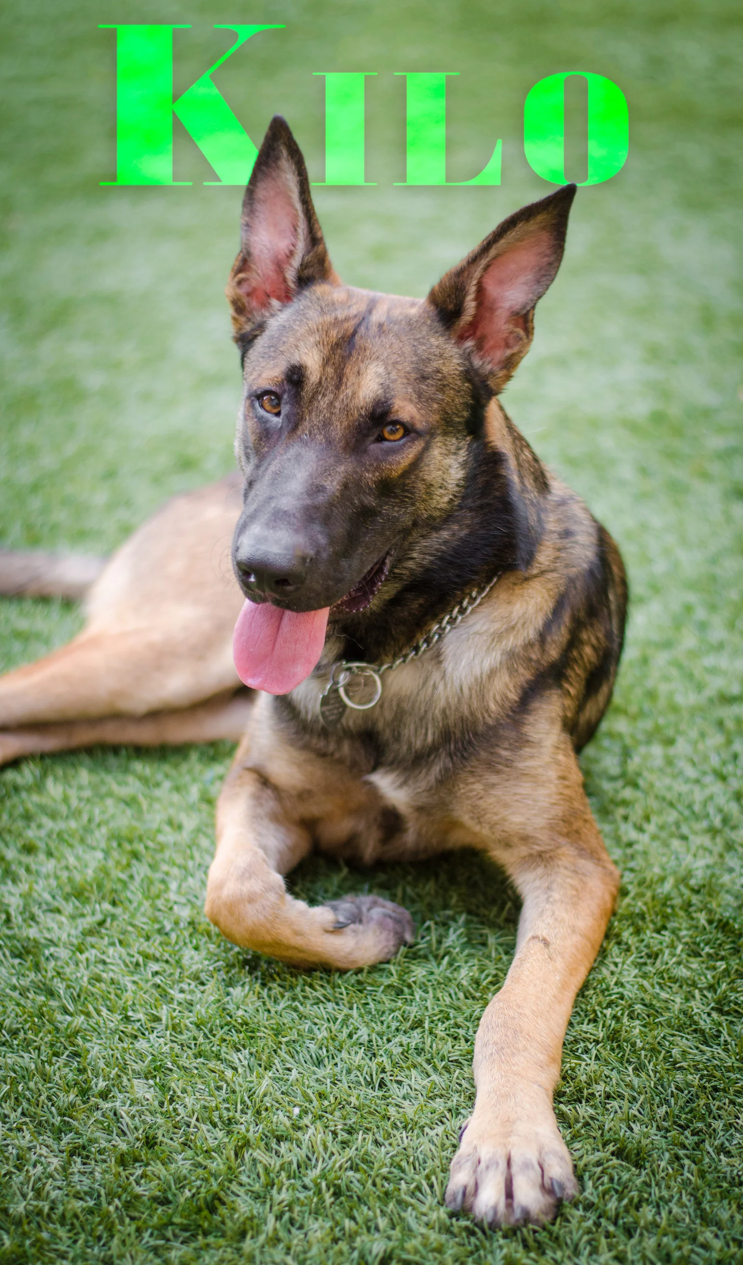 Kilo-Name-Web-DSC_1766.jpg