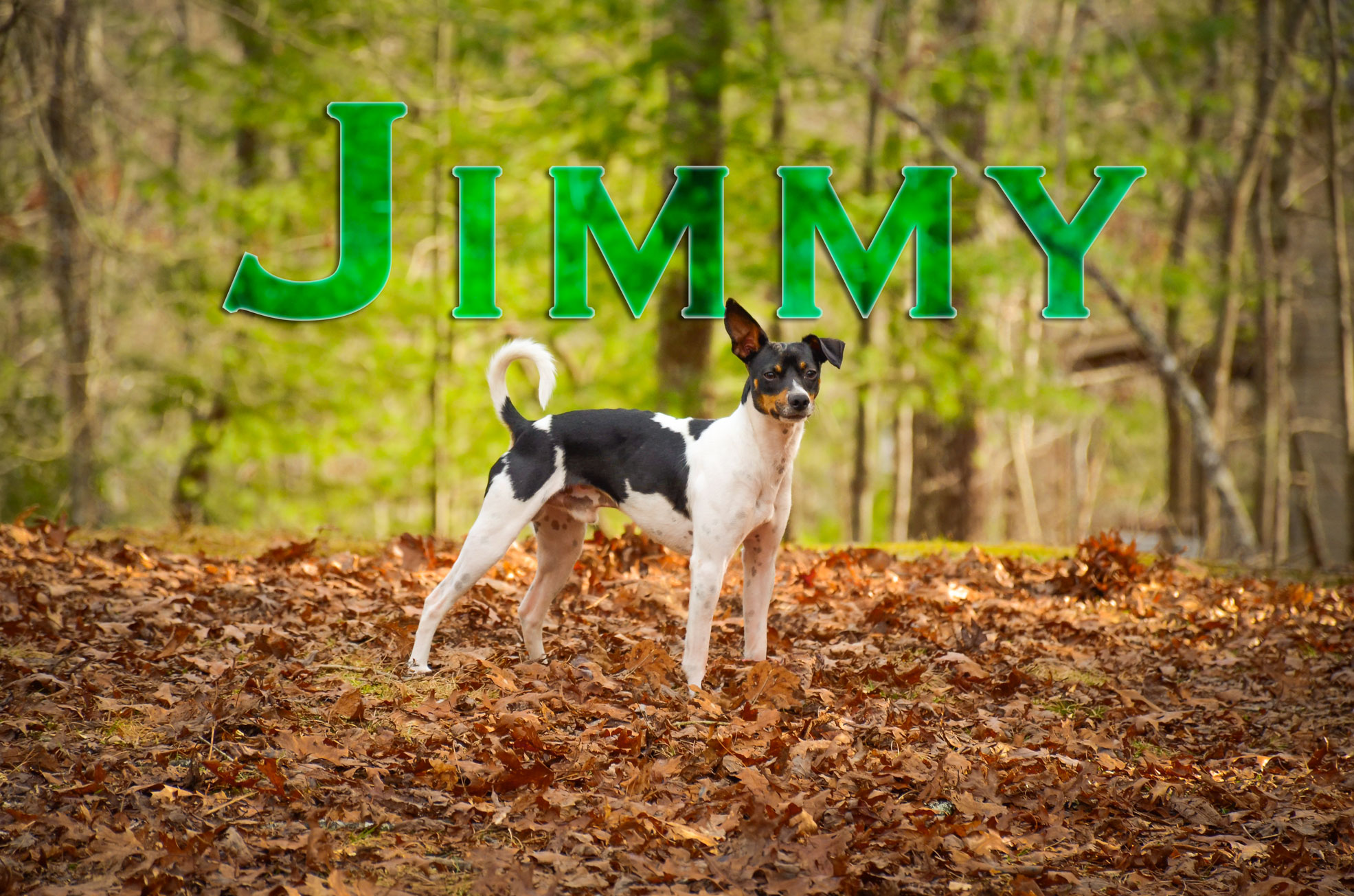 Jimmy-Name-Web-2359.jpg