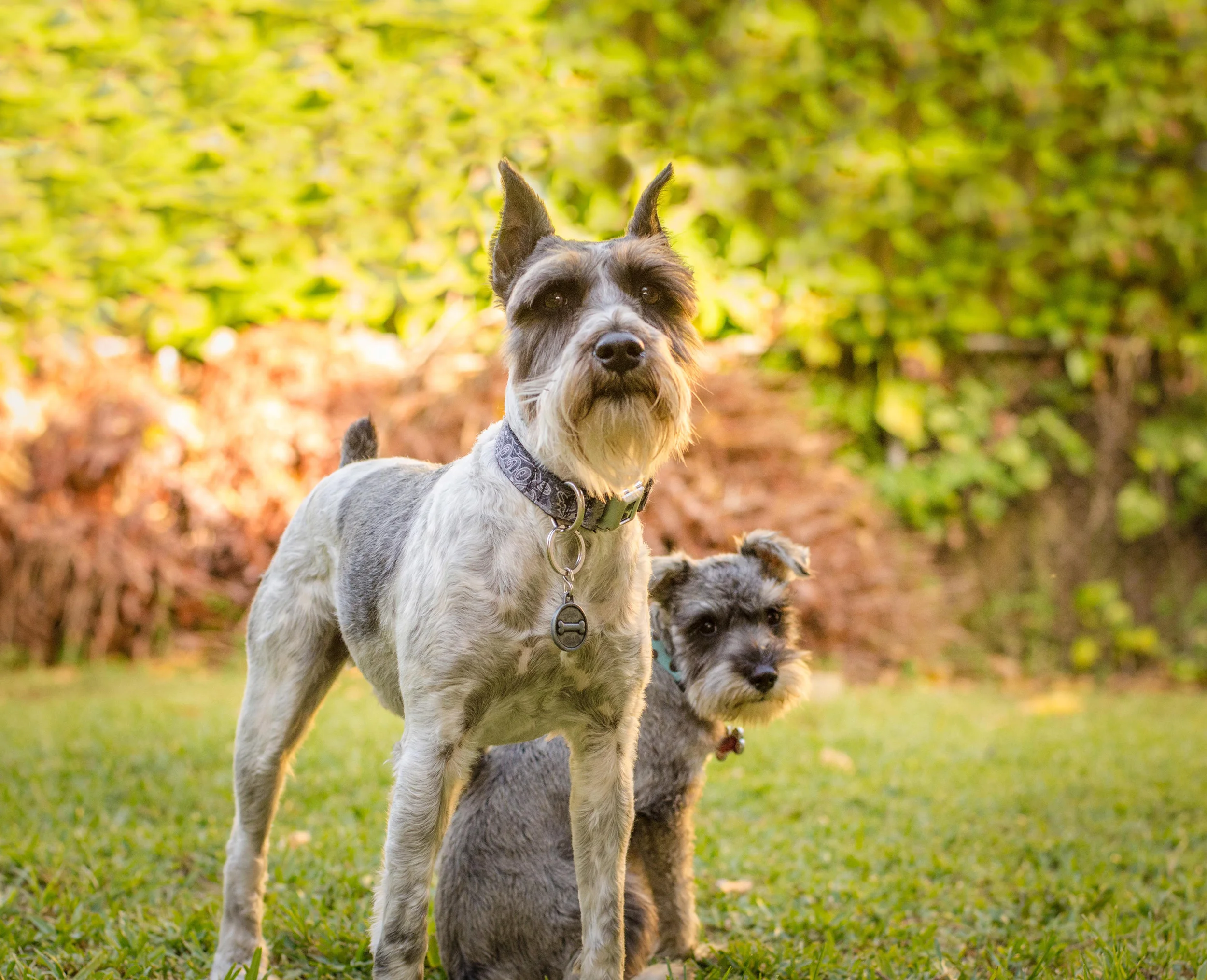 Max-and-Iris-3150.jpg