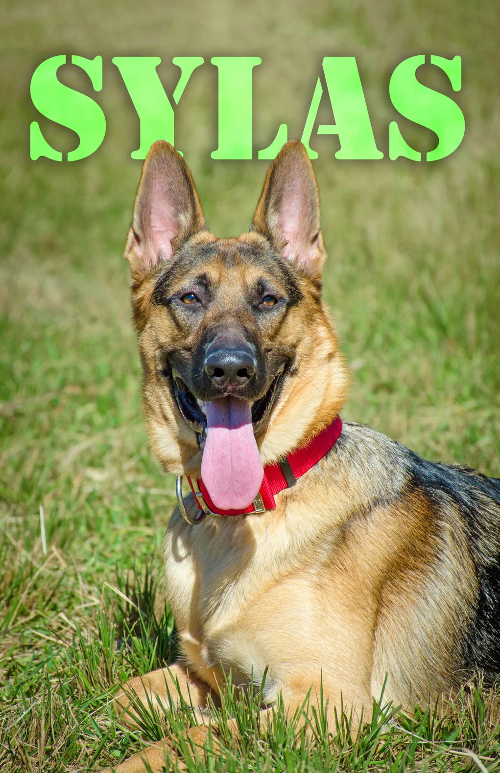 Sylas-Name-Web-8105.jpg