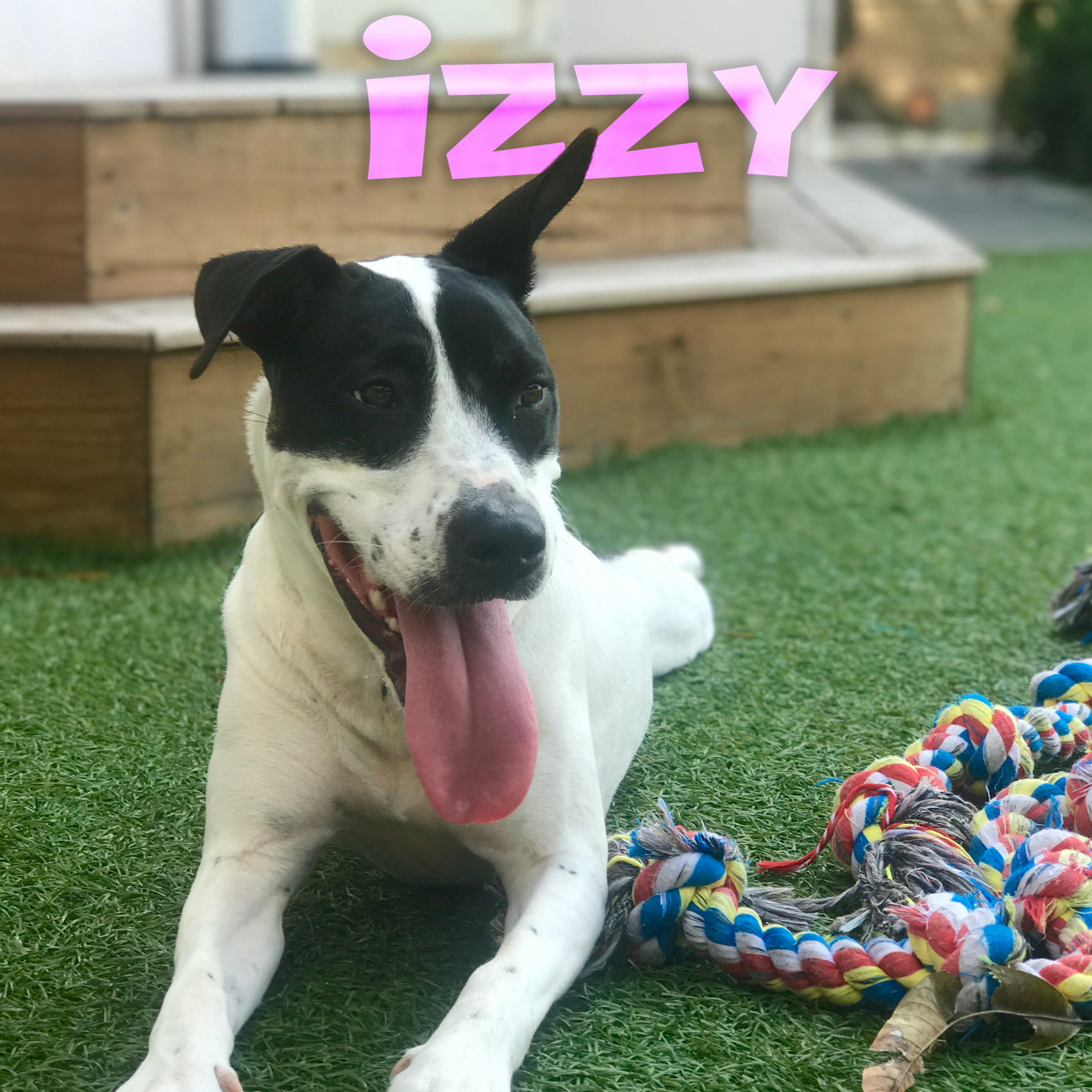 Izzy-Name-Web.jpg