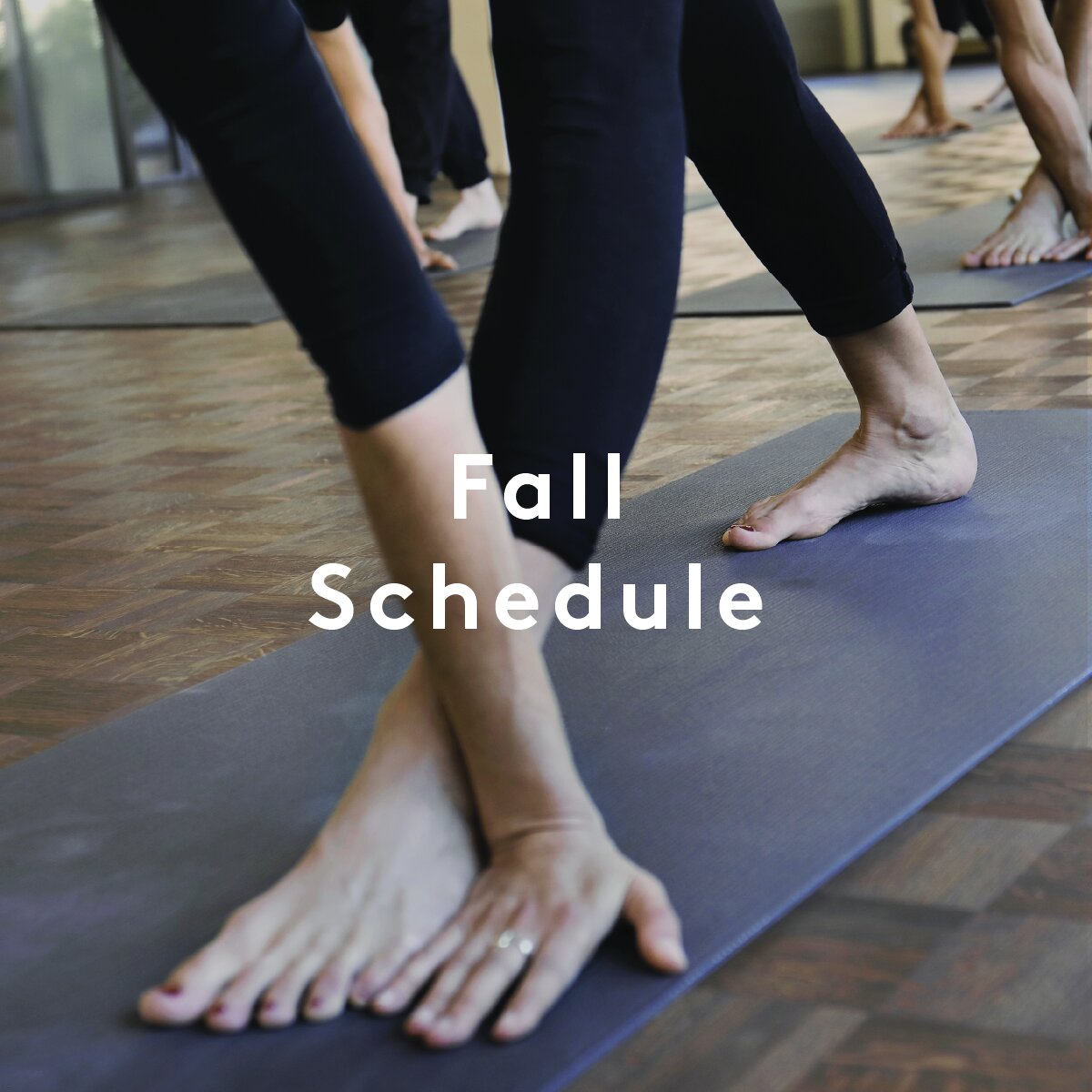 Fall Schedule